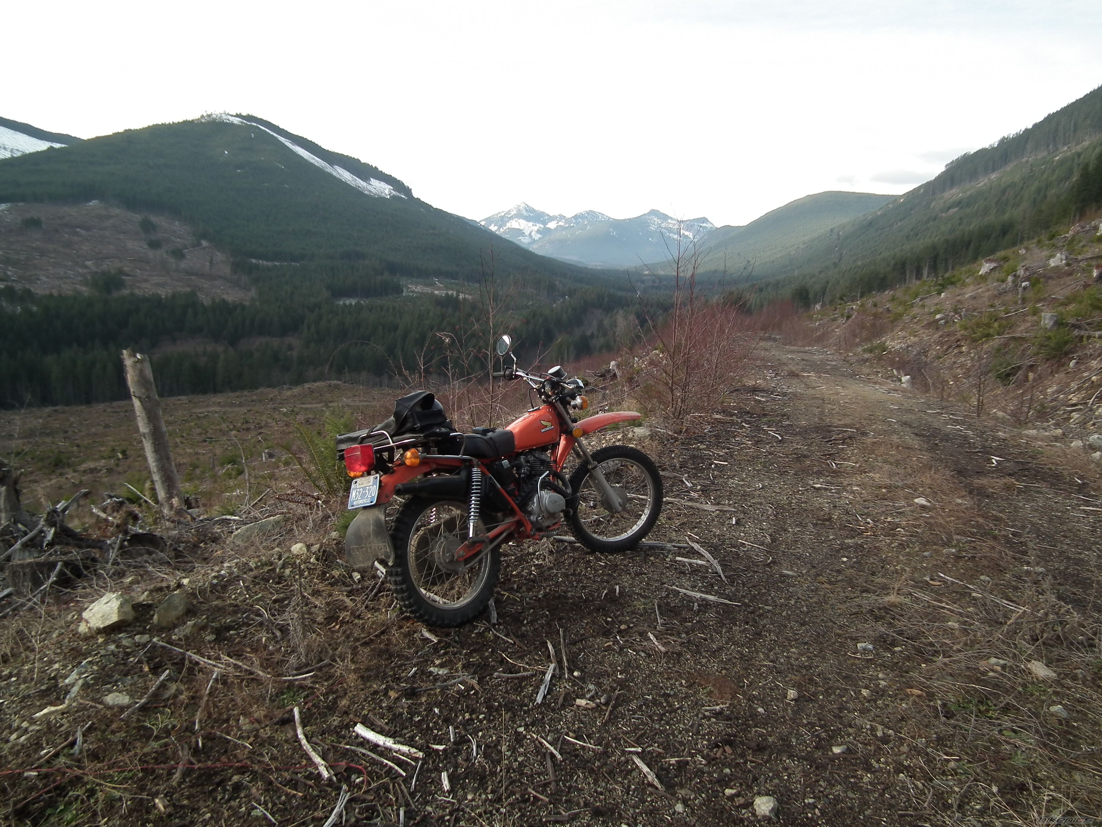 Photo 2401298