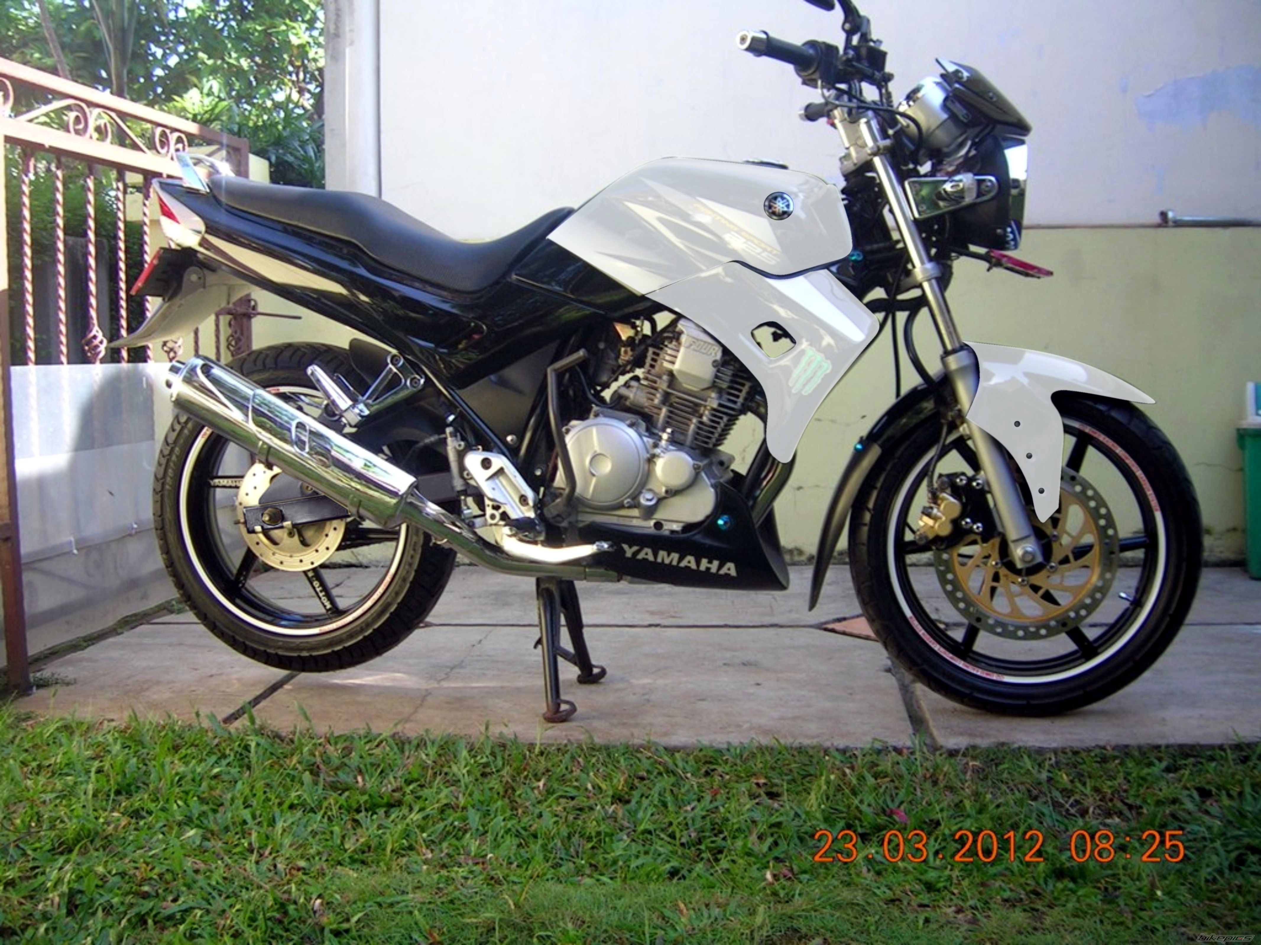 Photo 2401333