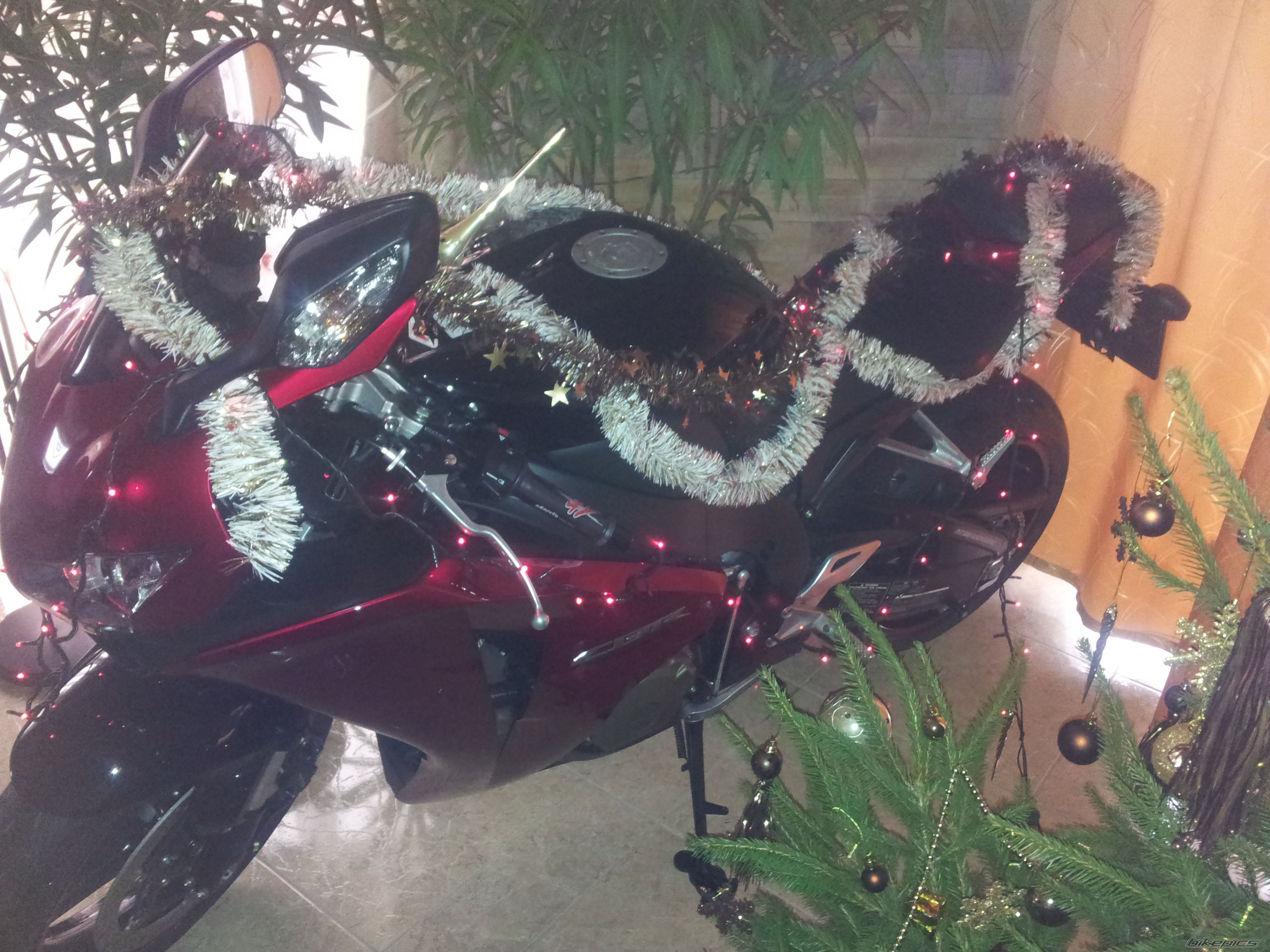 Photo 2401870