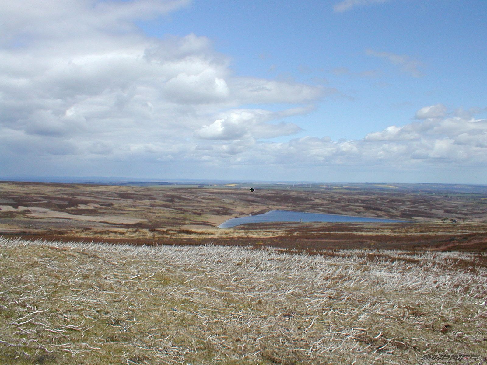 Photo 2401915