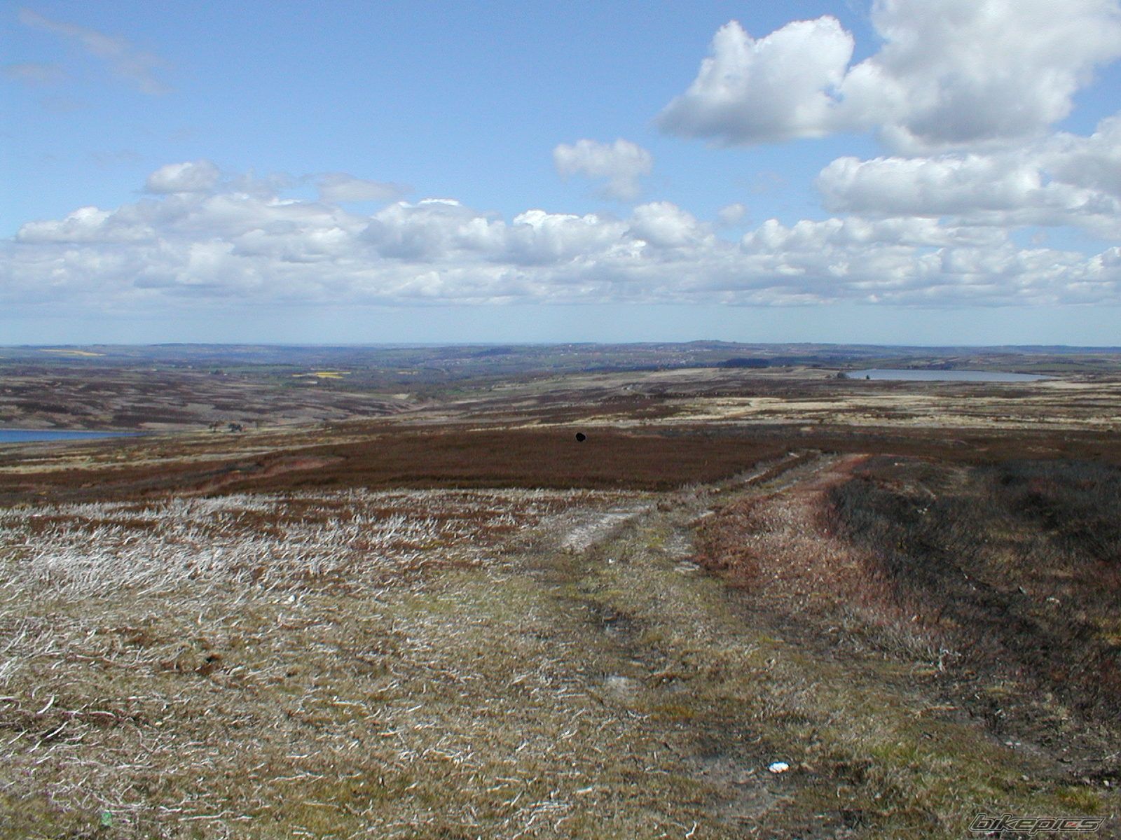 Photo 2401916