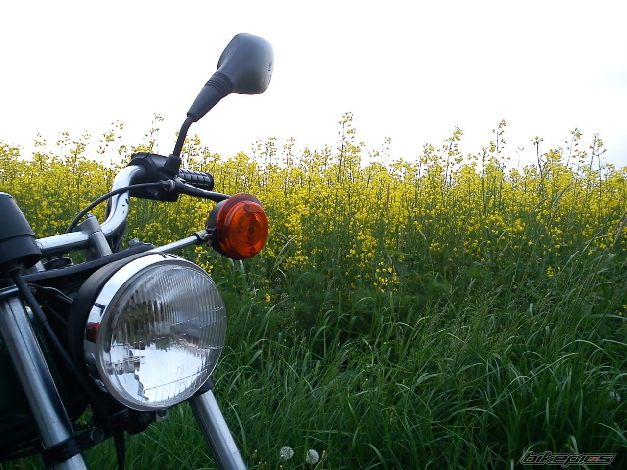 Bike Photo 2402051