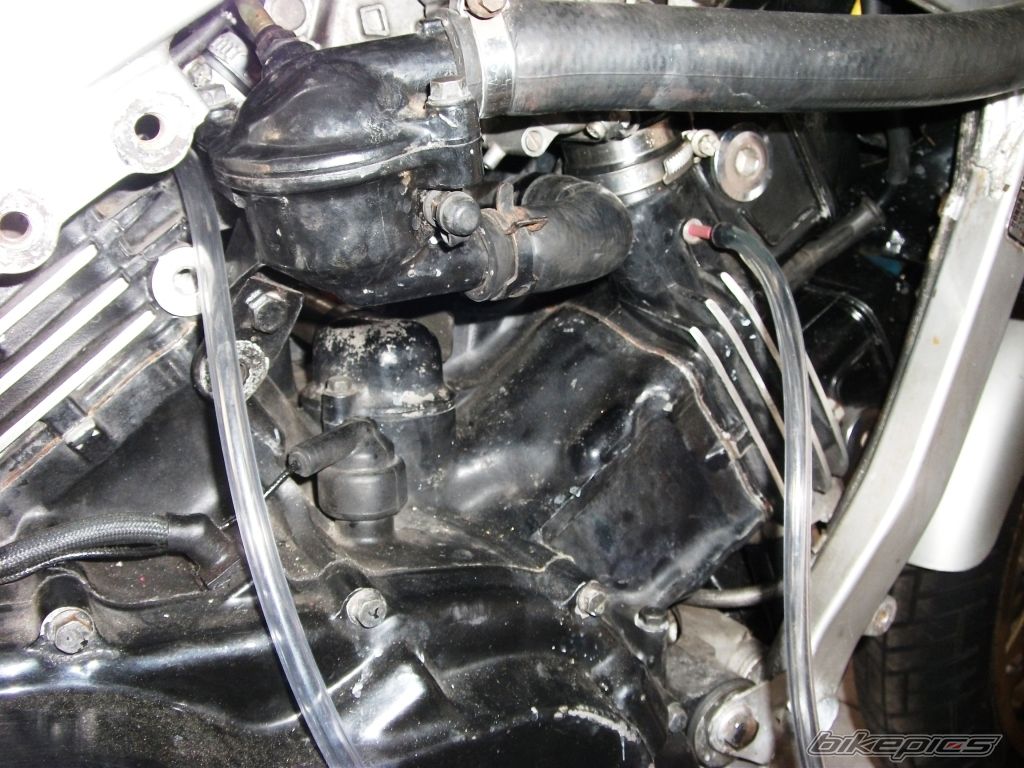 Photo 2402127