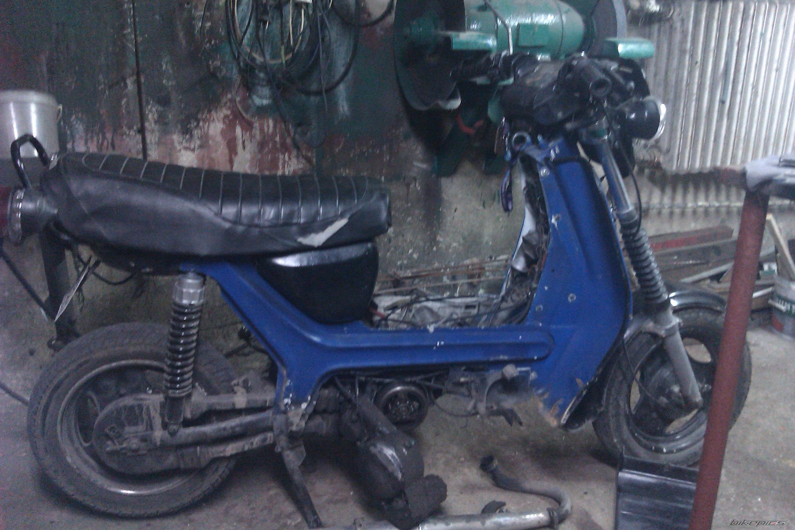 Photo 2402545