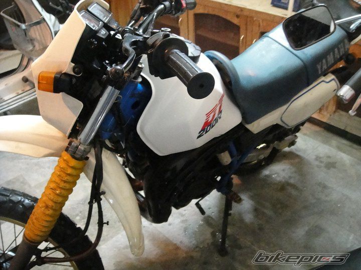 Photo 2402584