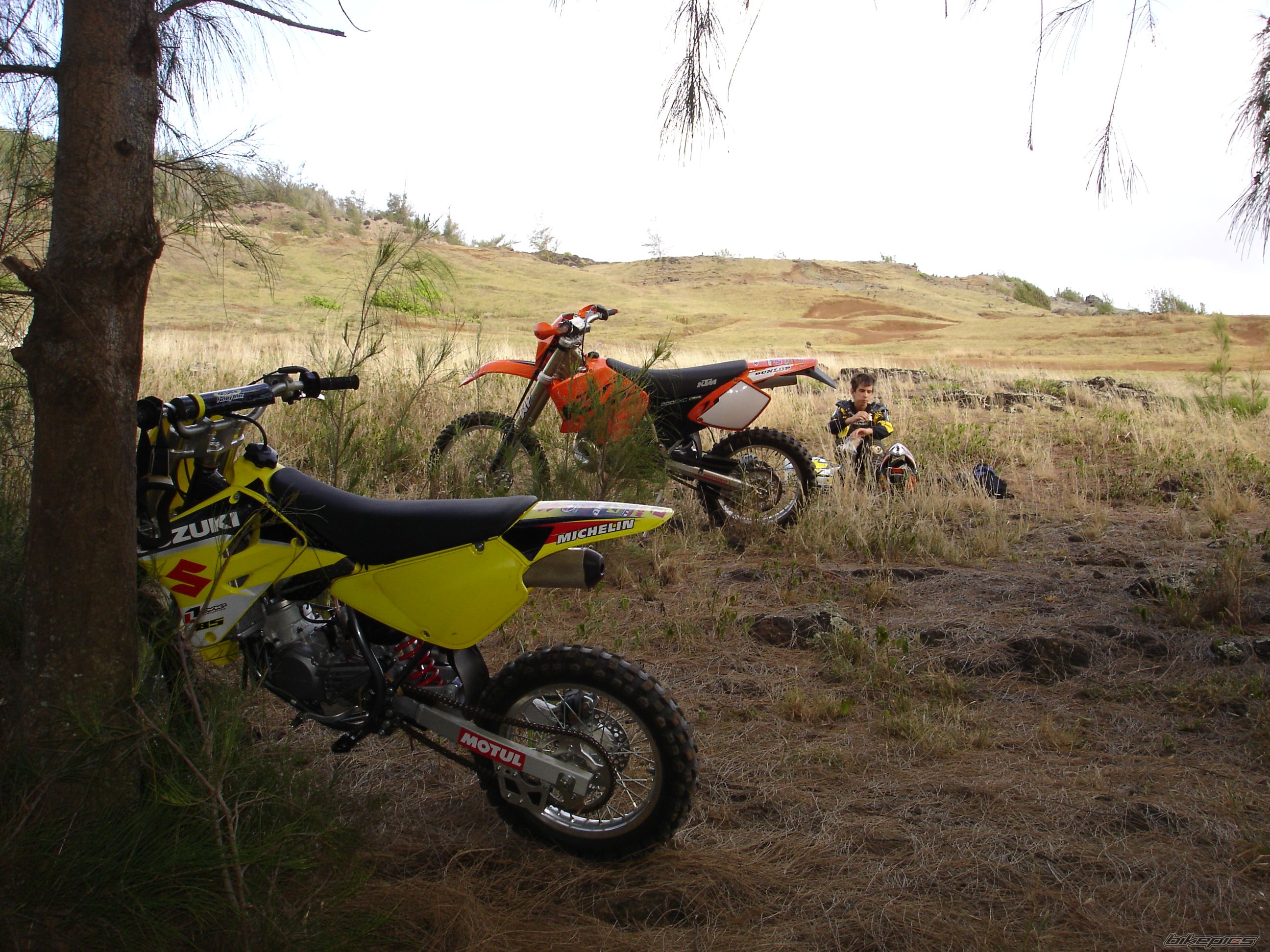 Photo 2402665