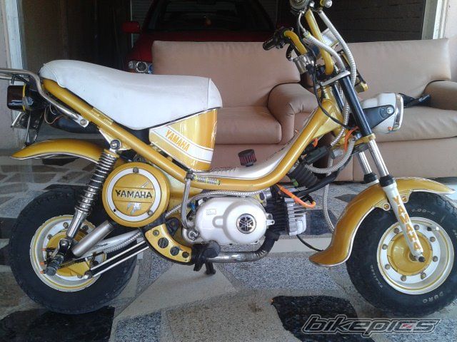 Photo 2402693