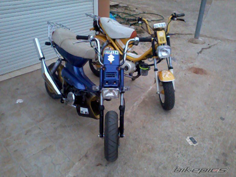 Photo 2402694