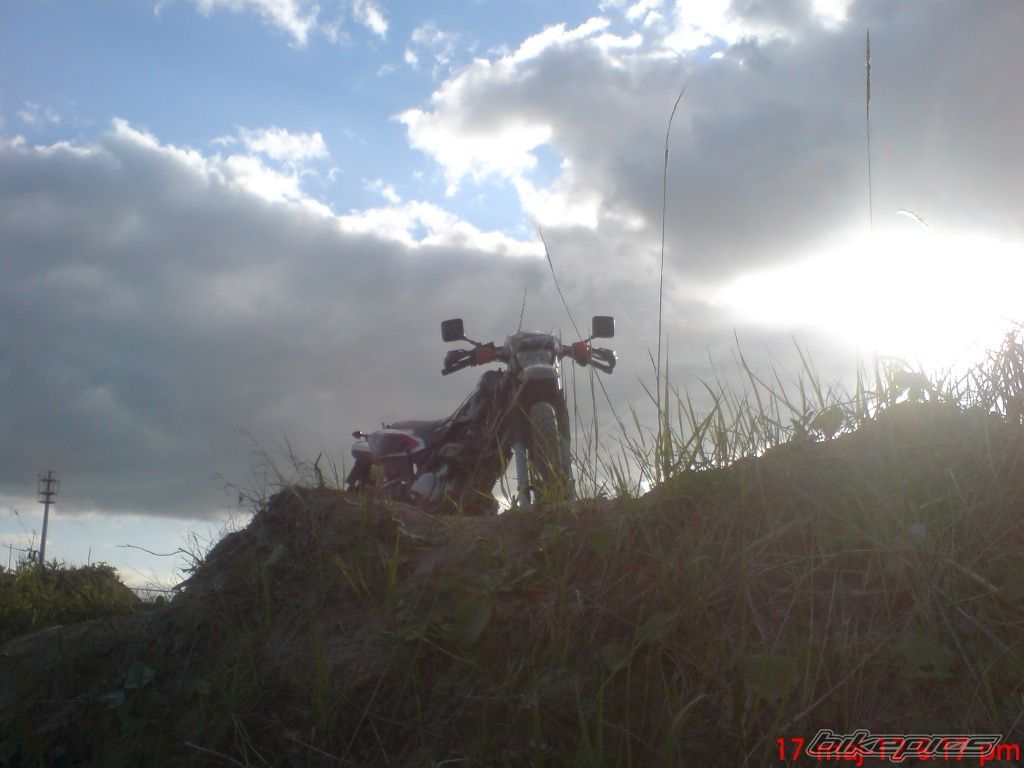 Photo 2402727