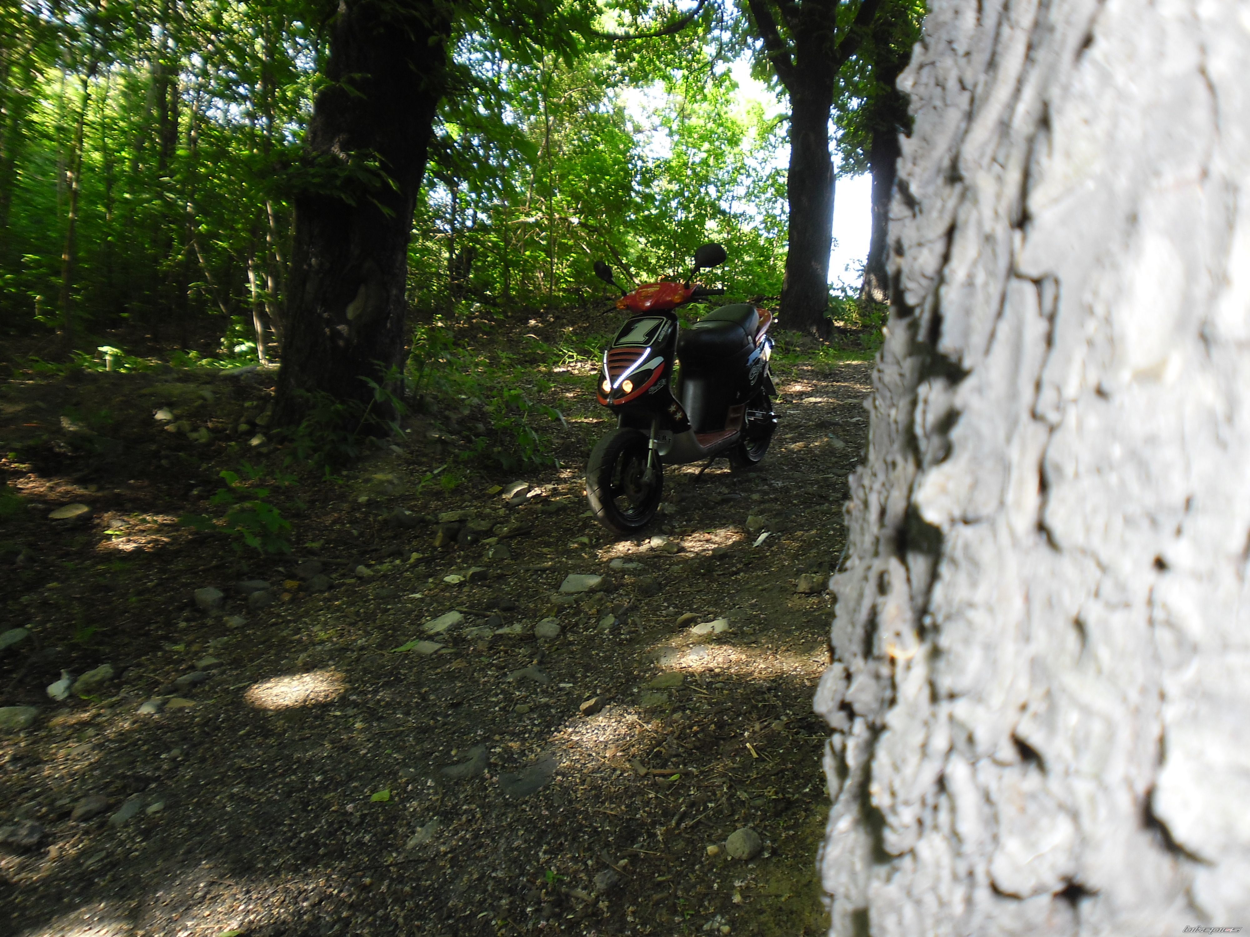 Photo 2402828