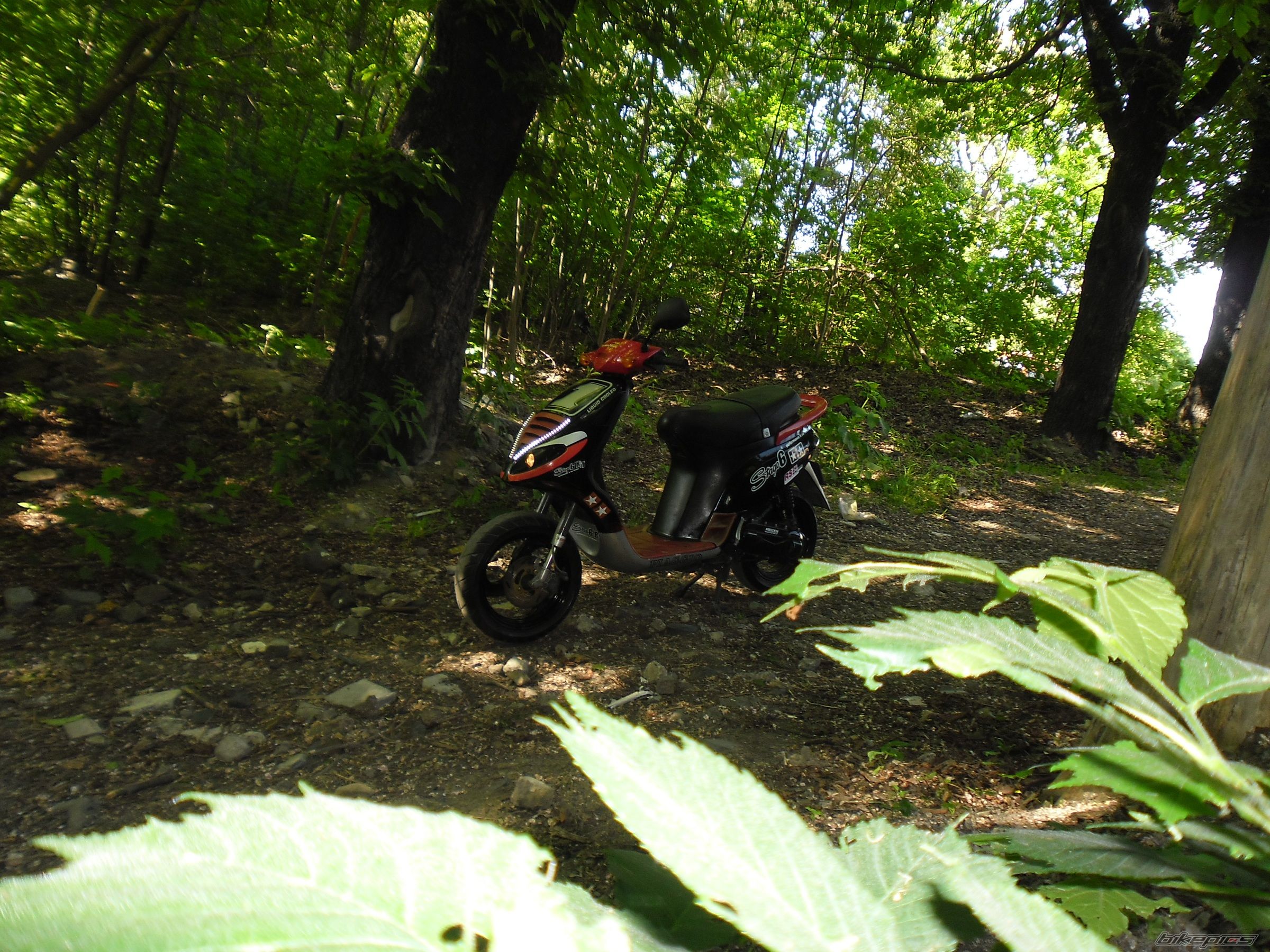 Photo 2402839