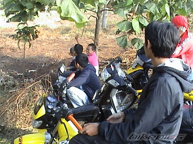 Bike Photo 240295
