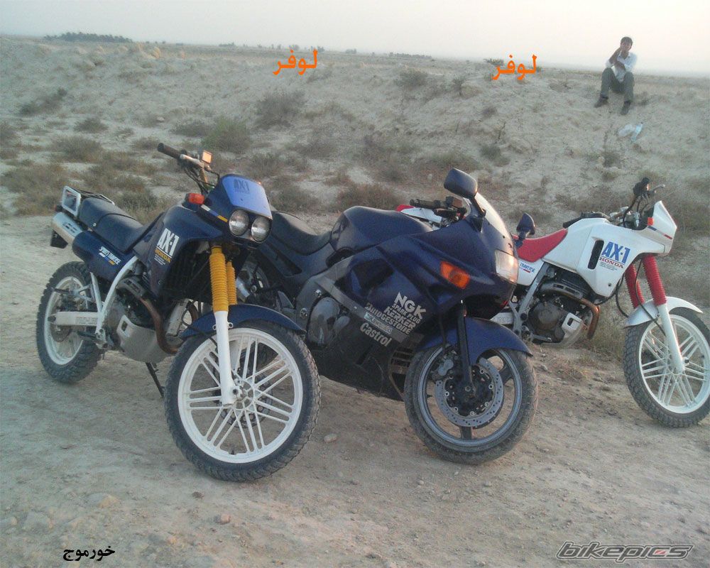 Photo 2402954