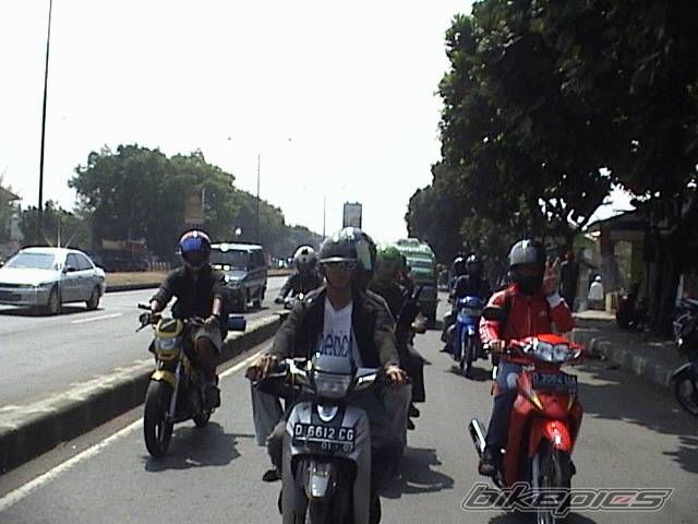 Photo 240296