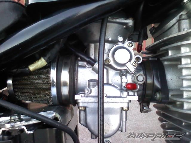 Photo 2403021