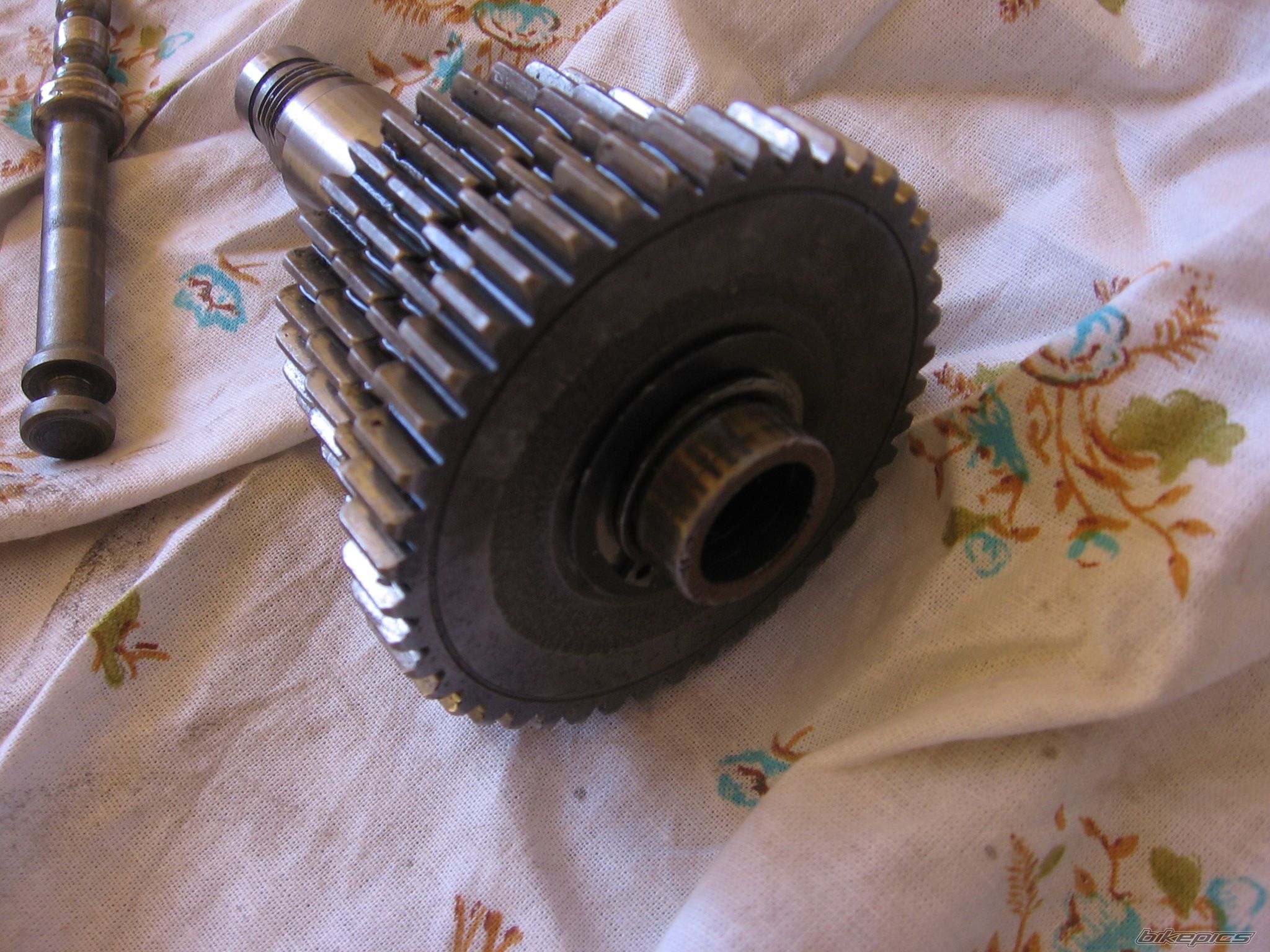 Photo 2403093