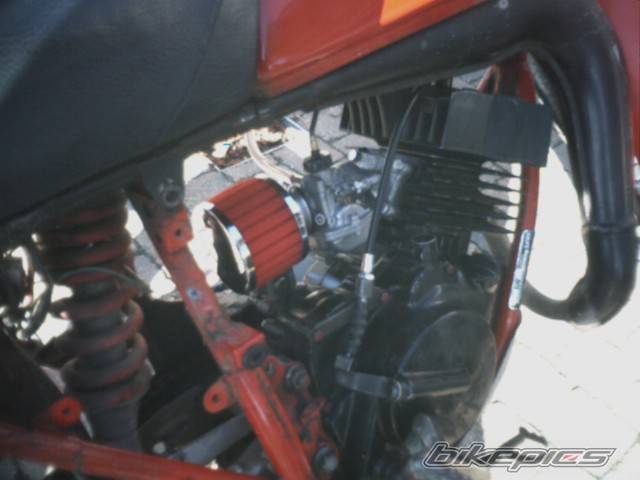 Photo 240310