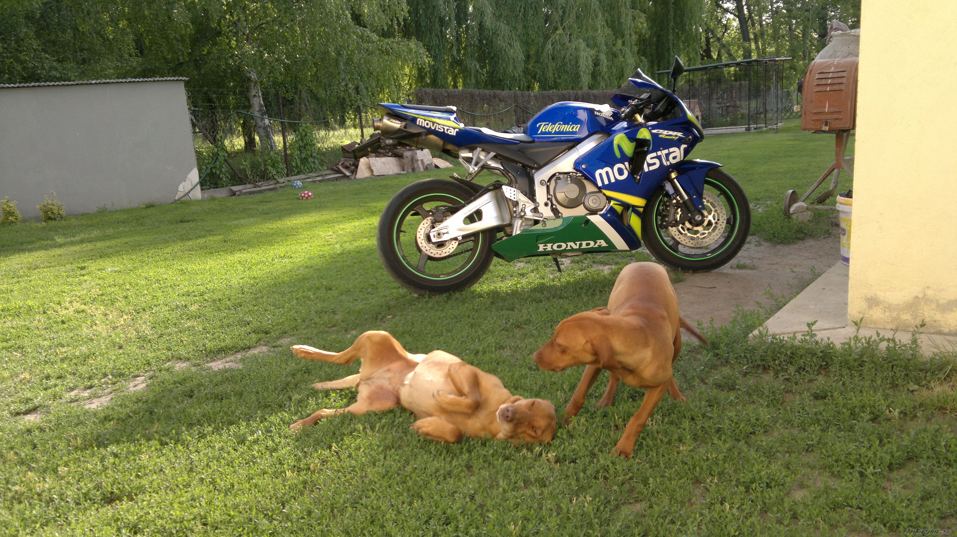 Bike Photo 2403116