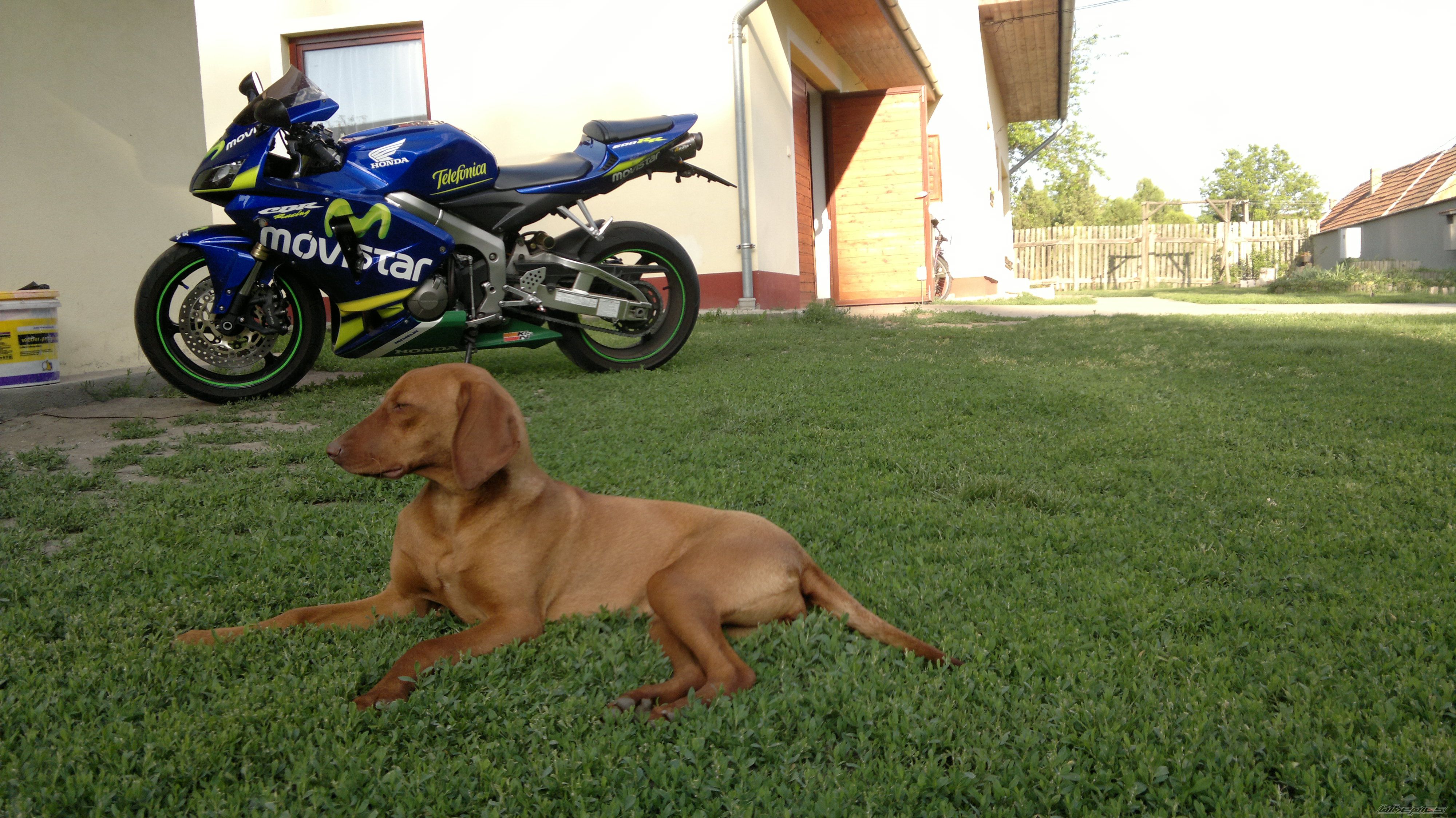 Bike Photo 2403120