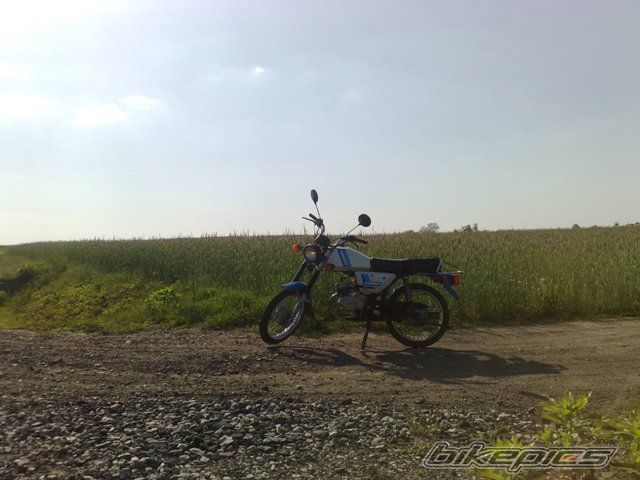 Photo 2403241