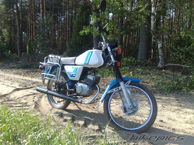 Photo 2403255