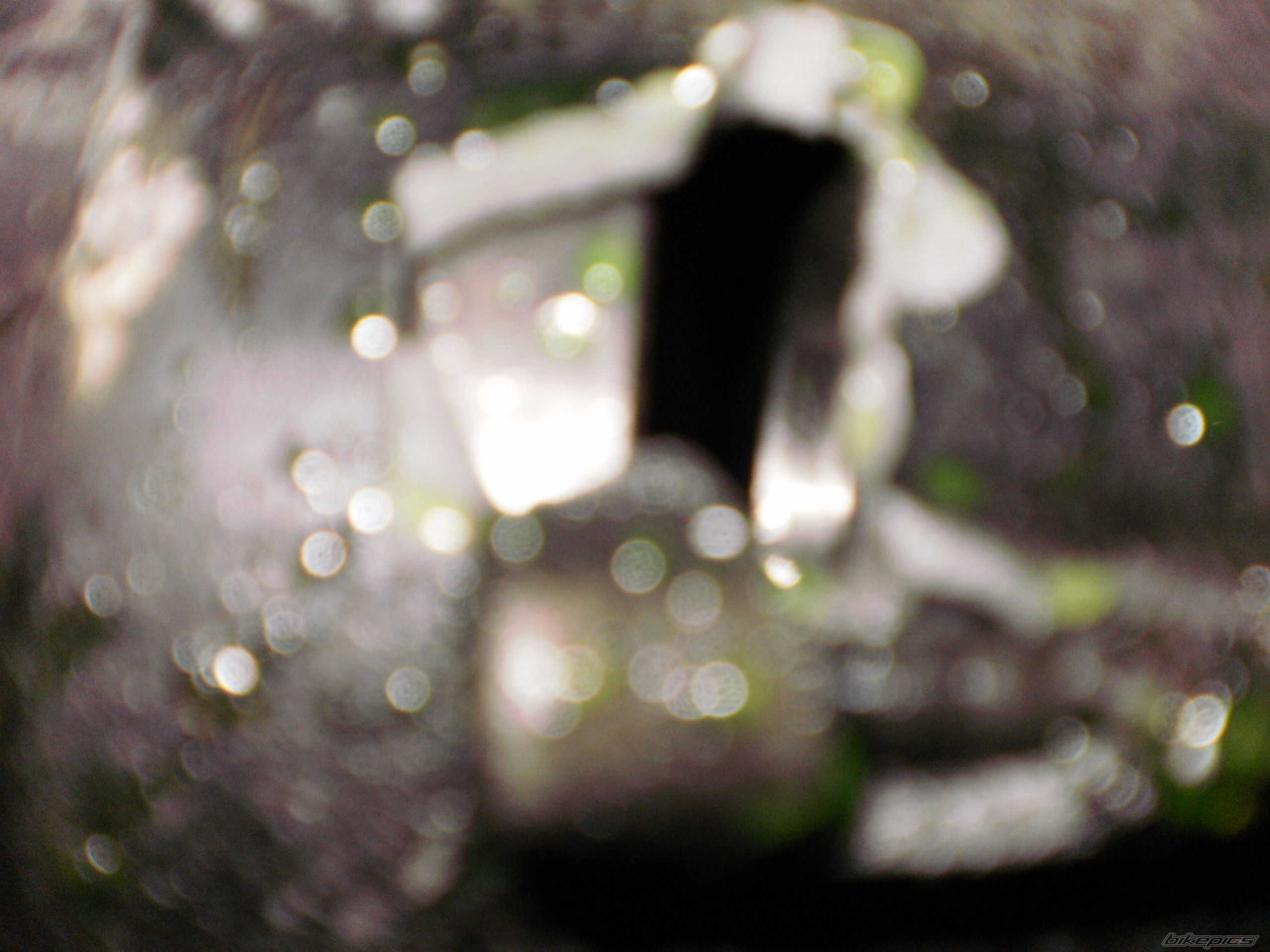 Photo 2403459