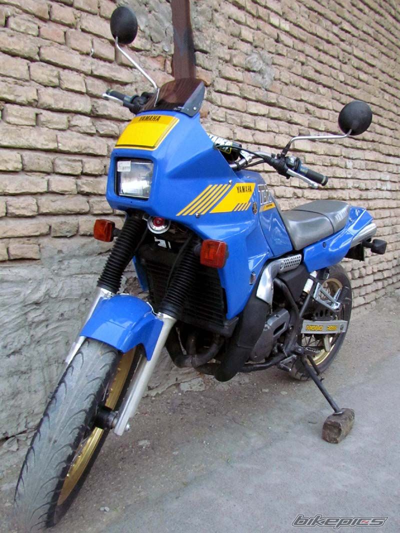 Photo 2403526