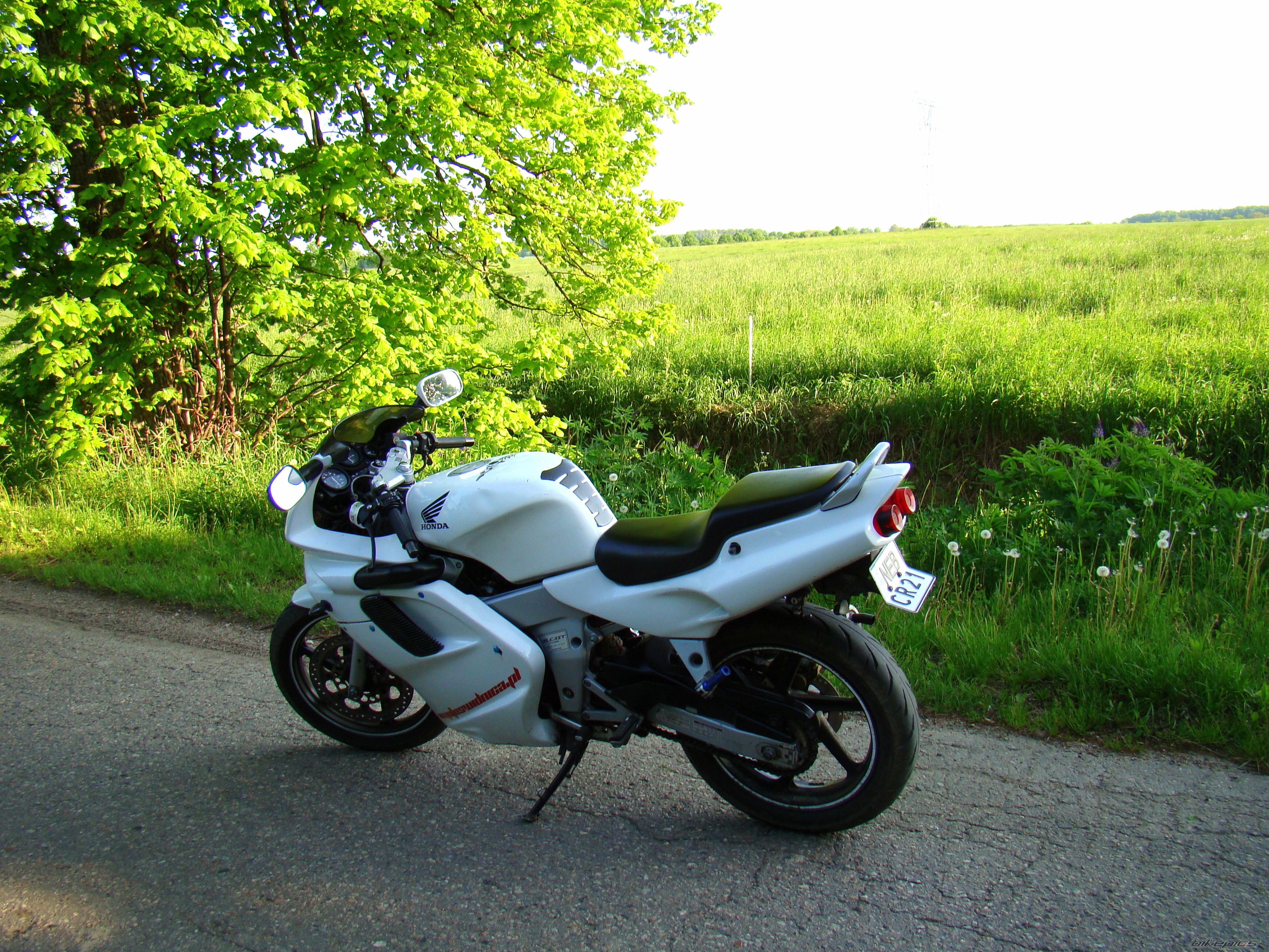 Photo 2403584