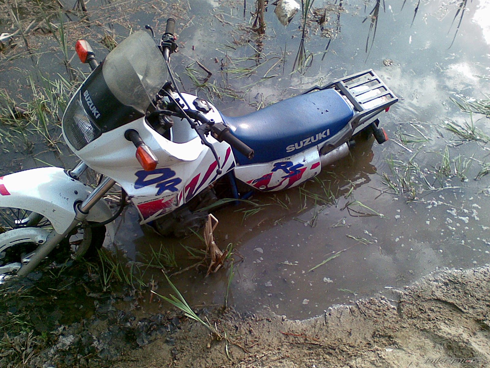 Photo 2403721