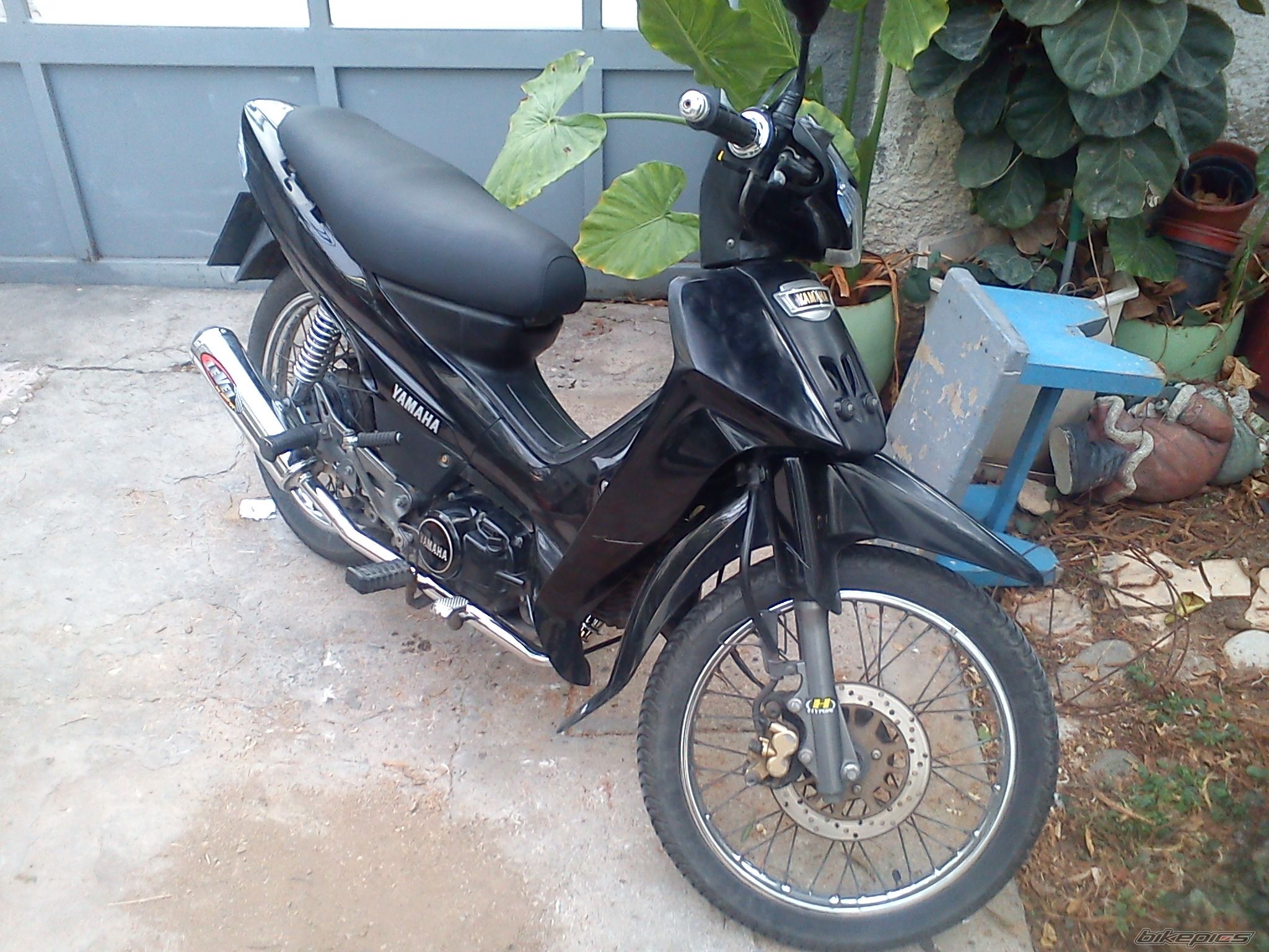 Photo 2403736