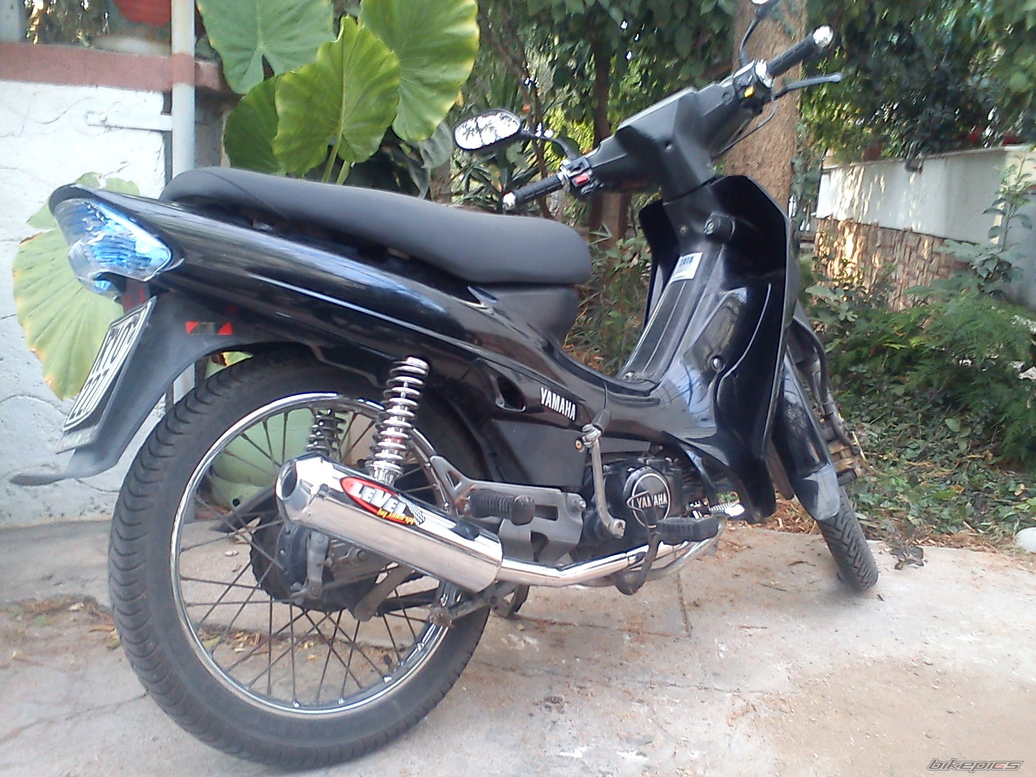 Photo 2403737