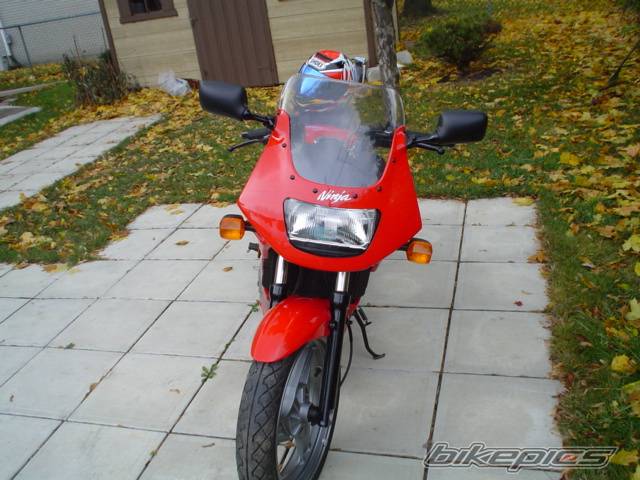 Photo 240376
