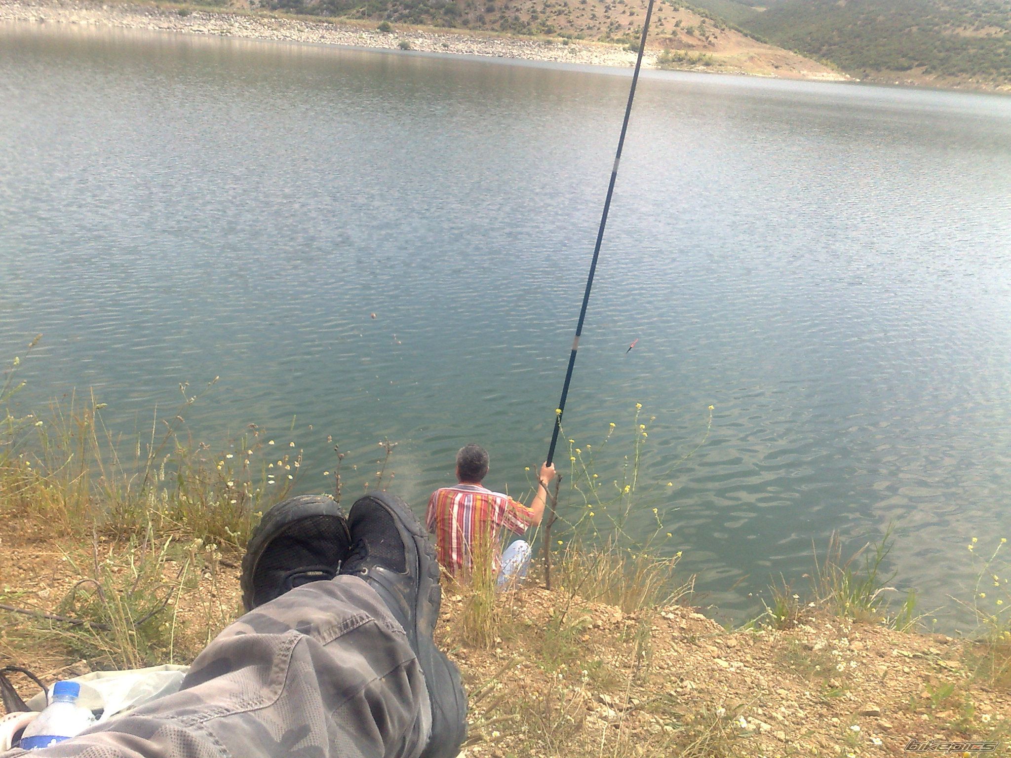 Photo 2403813
