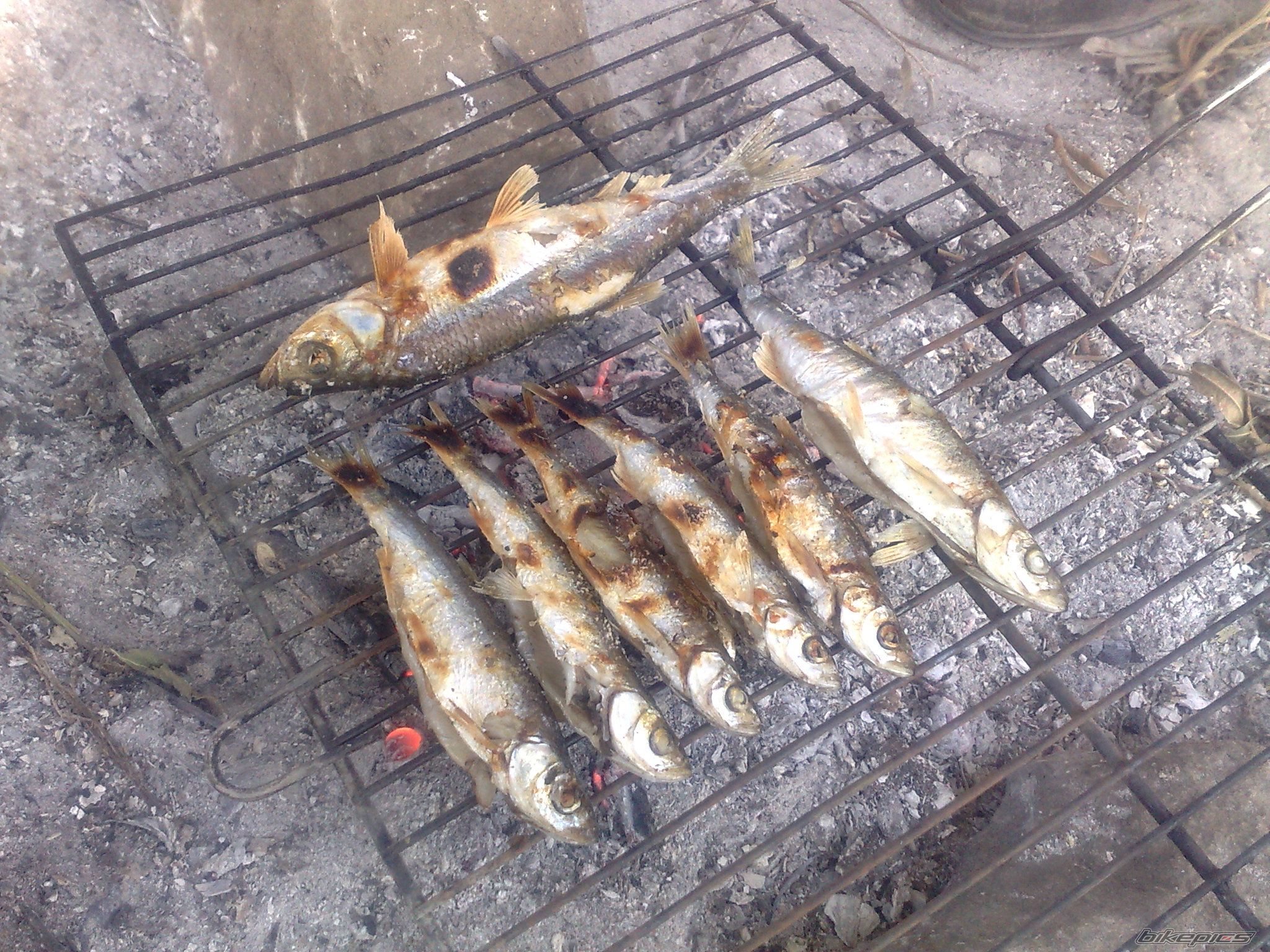 Photo 2403815