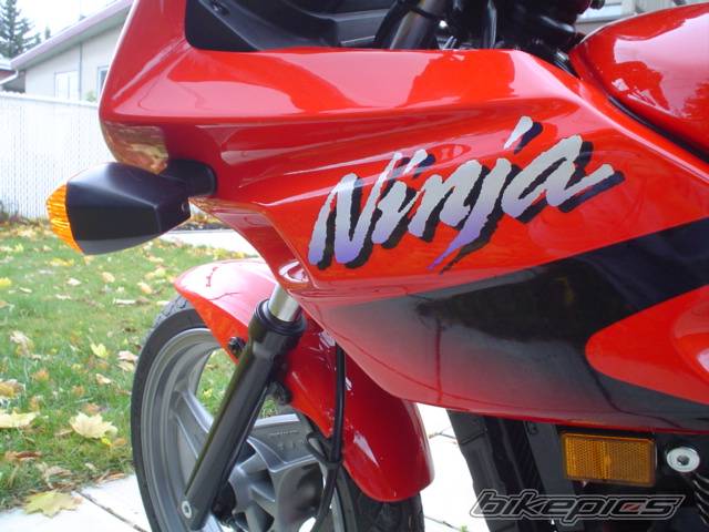Photo 240382