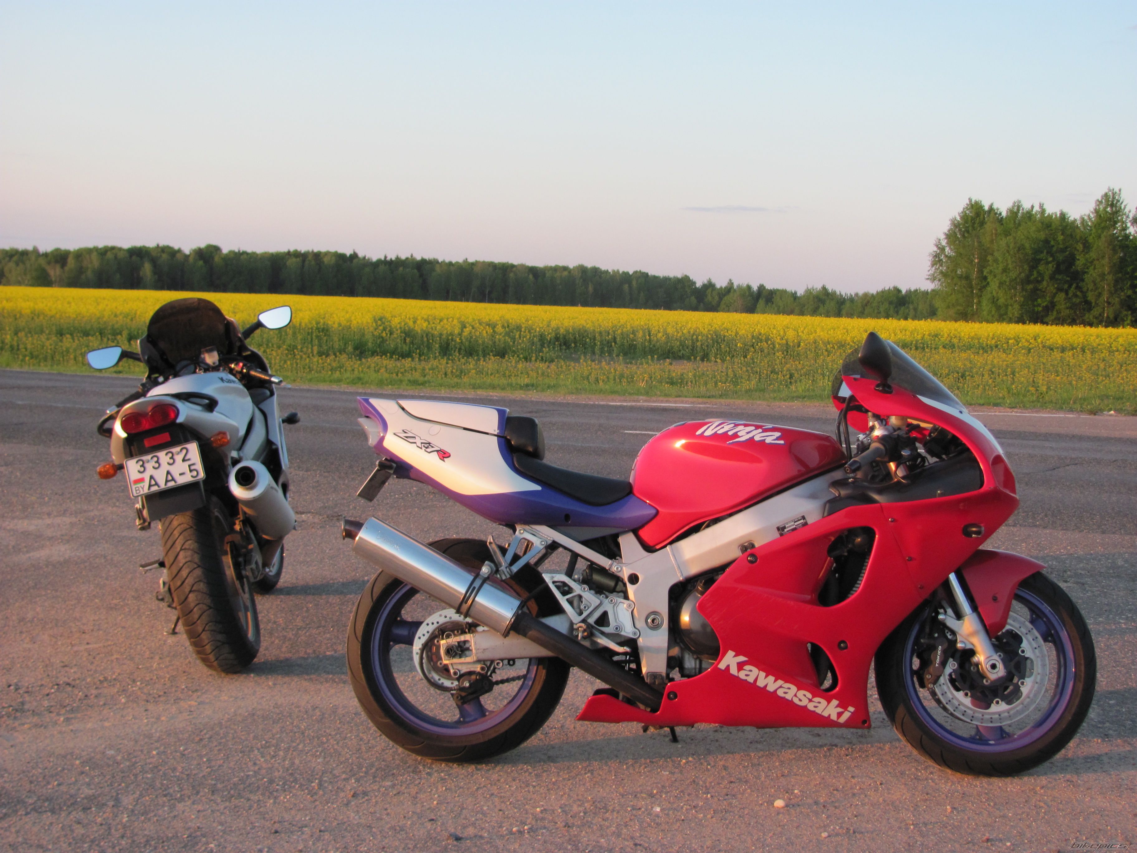 Photo 2403853