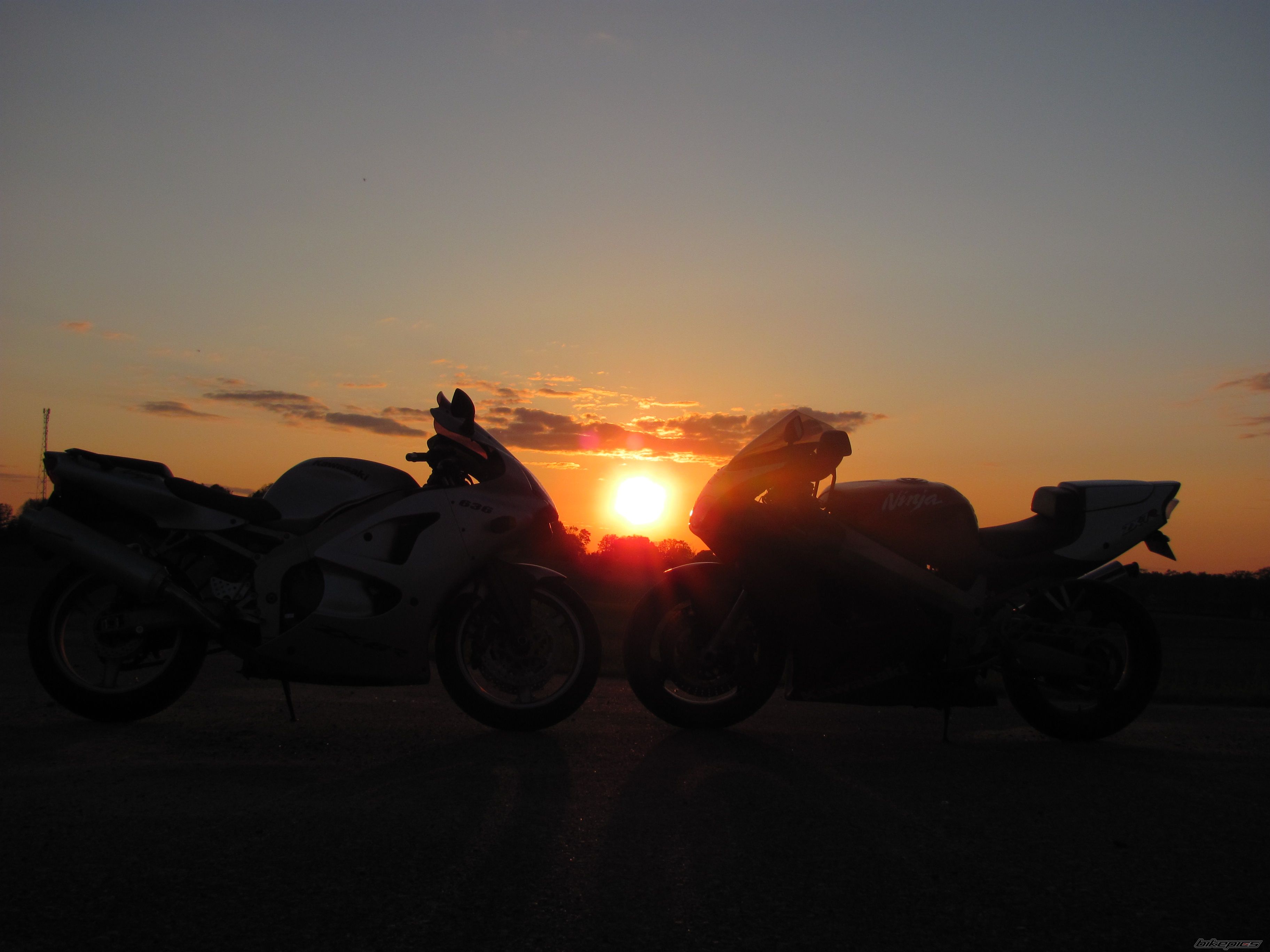 Photo 2403854