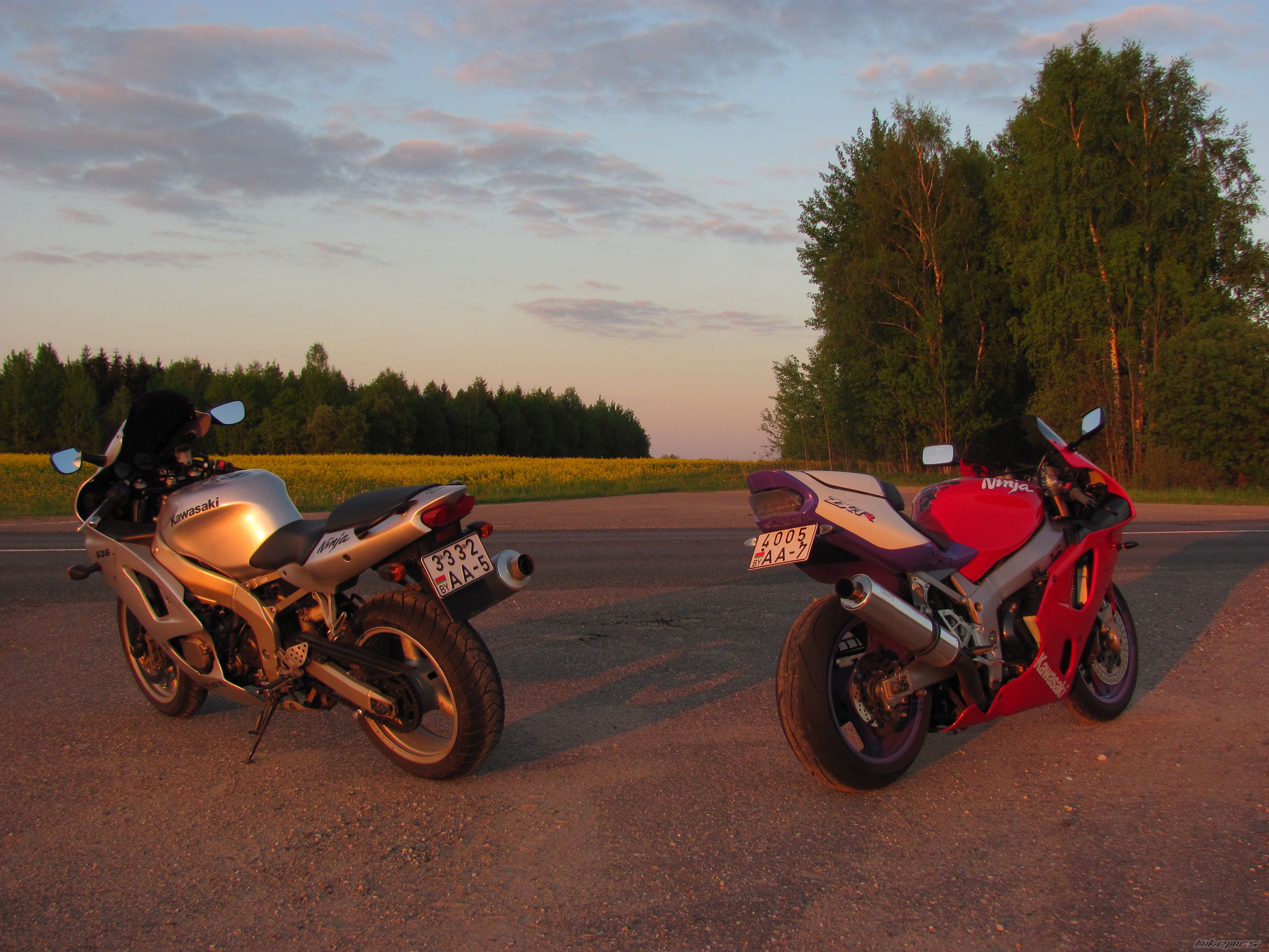 Photo 2403871