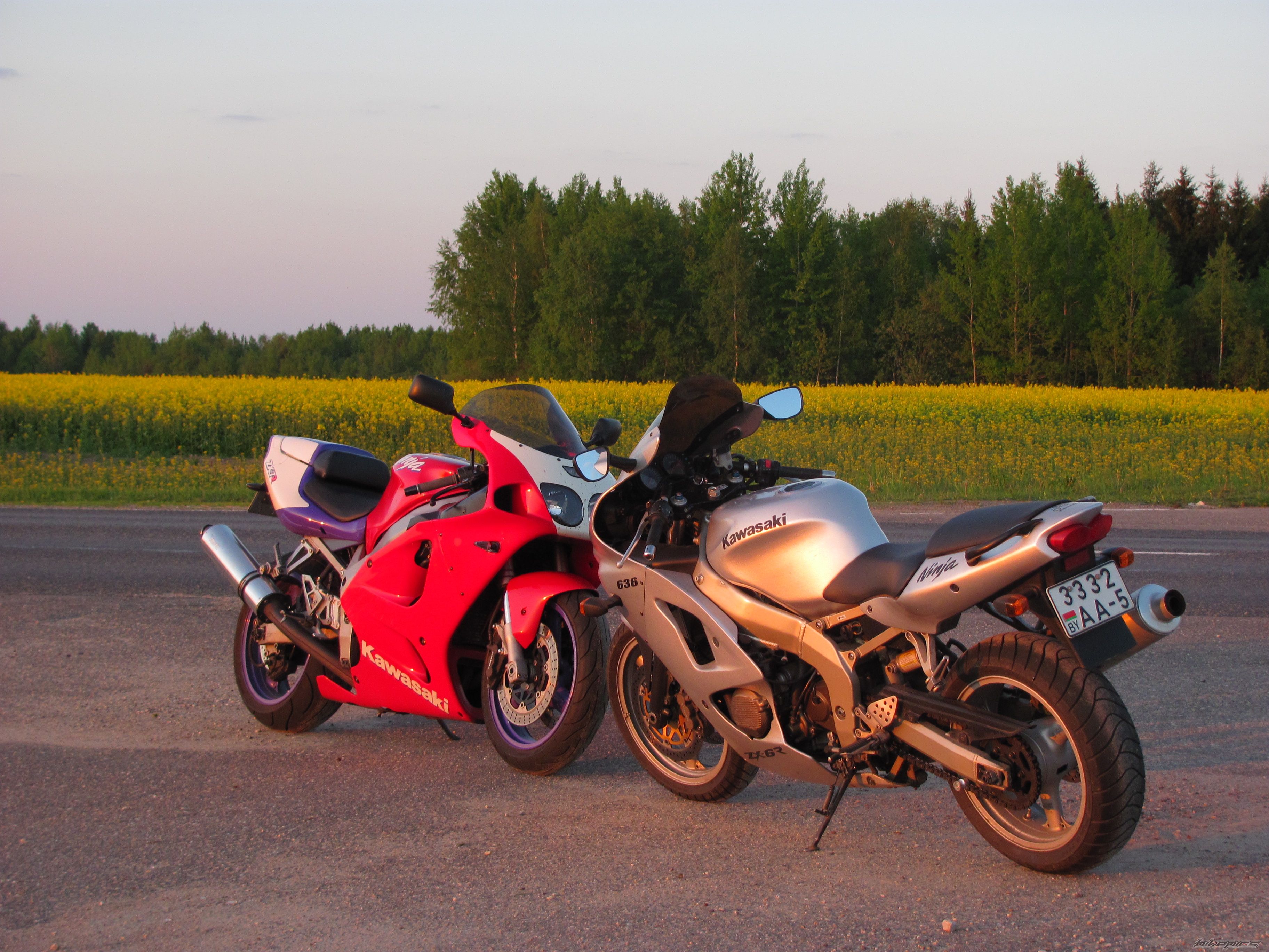 Photo 2403872