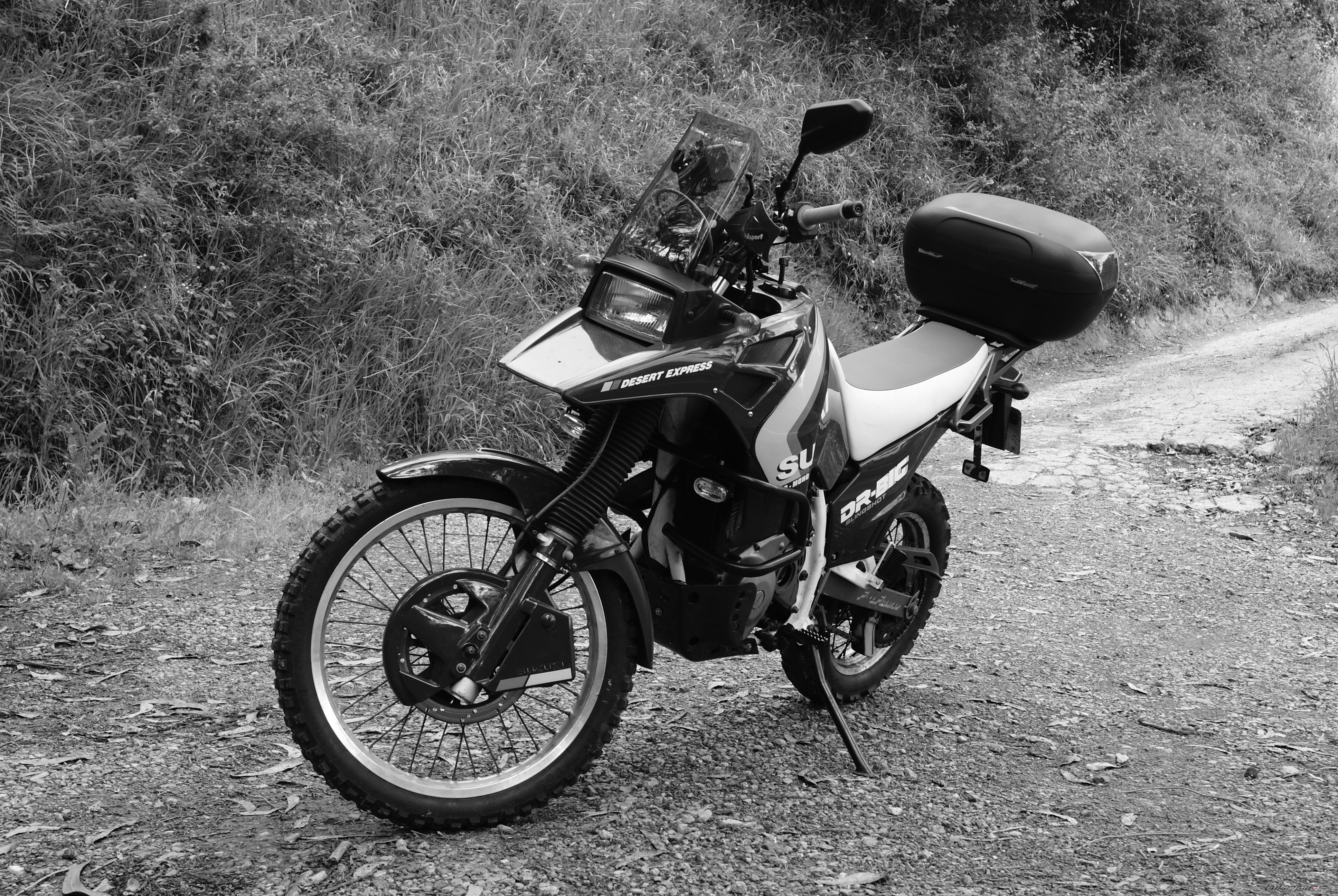 Photo 2403906