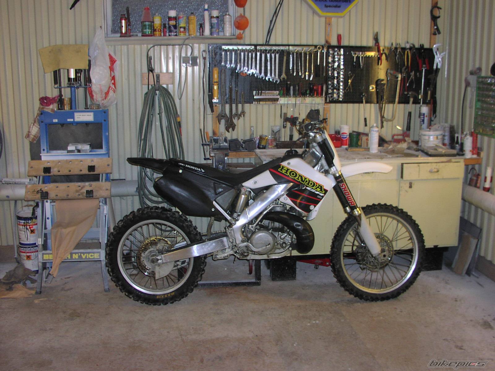 Photo 240395