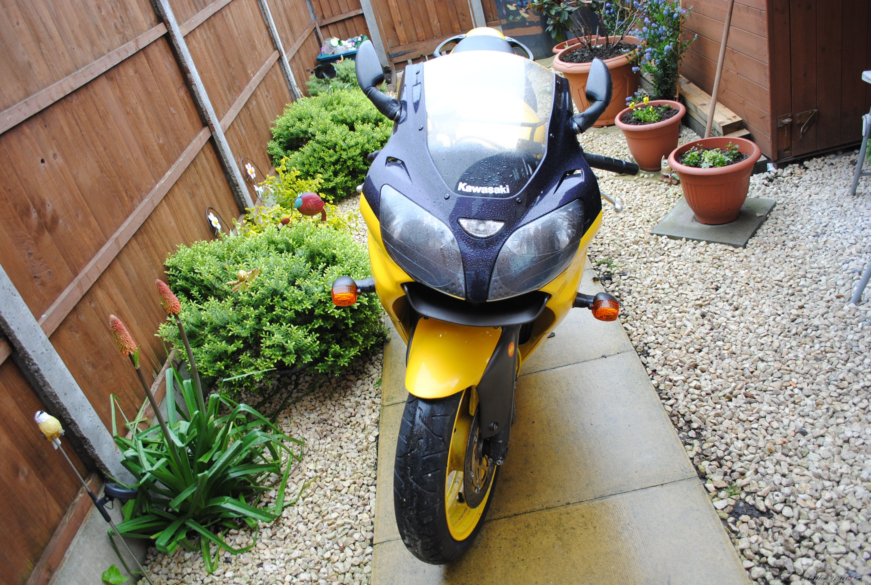 Photo 2403975