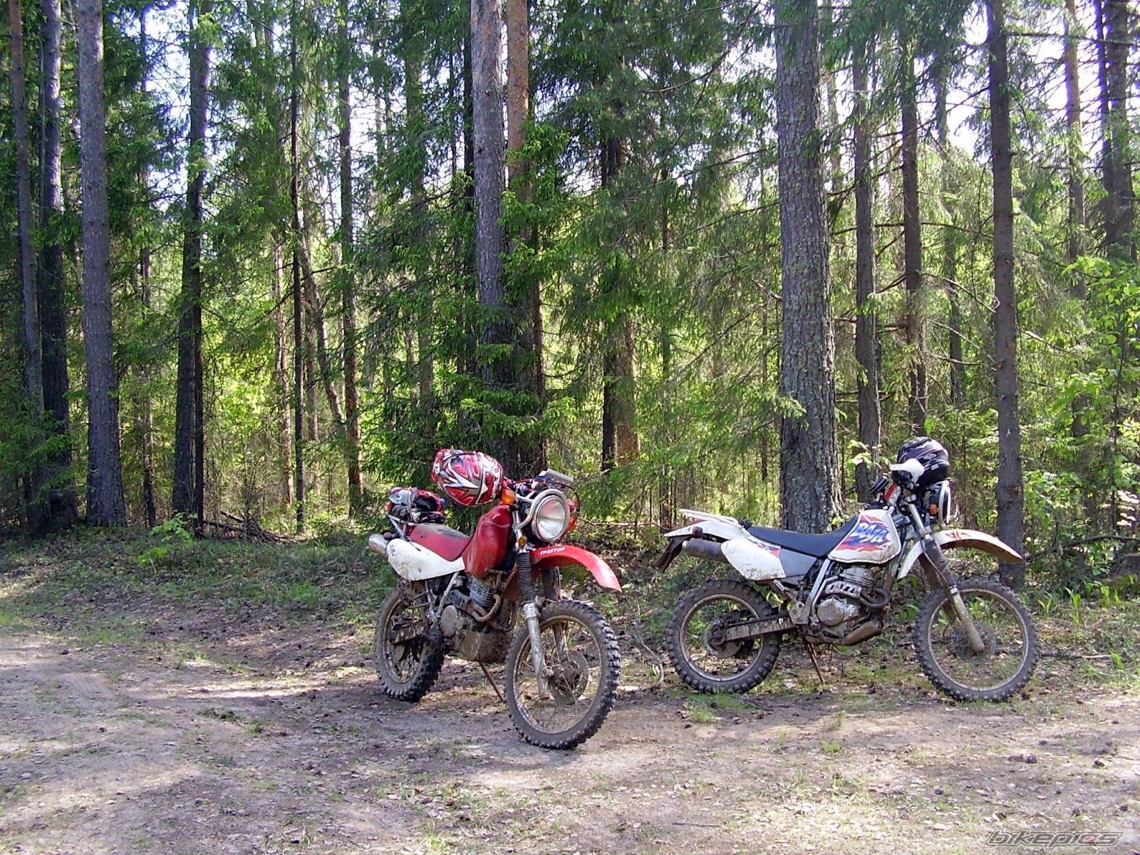Photo 2404090