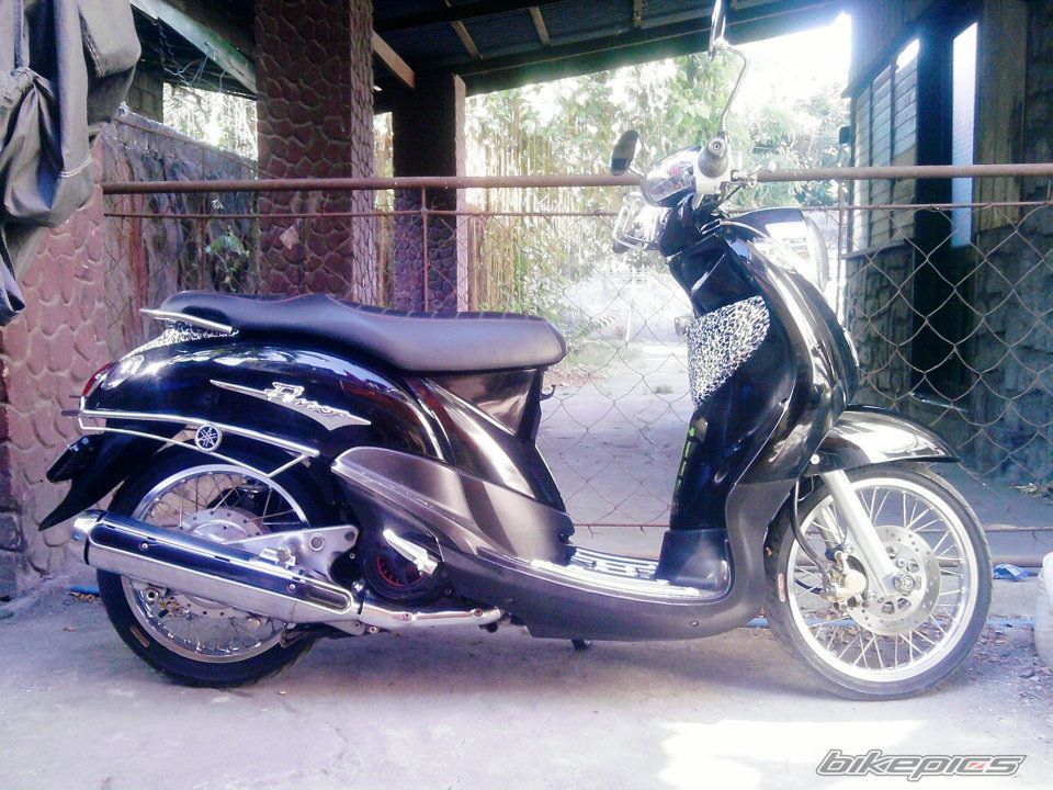 Photo 2404091
