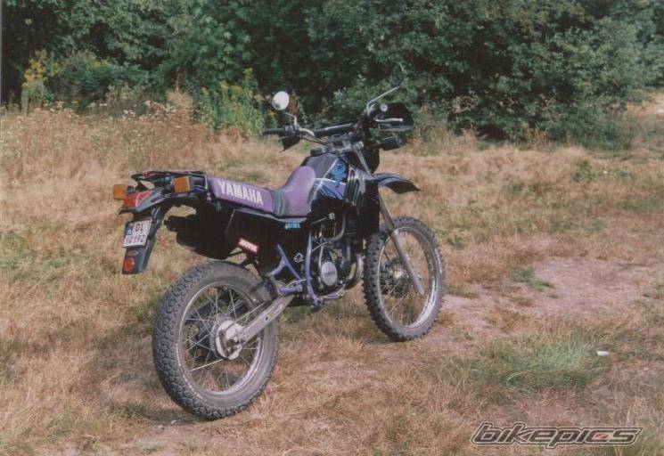 Bike Photo 240411