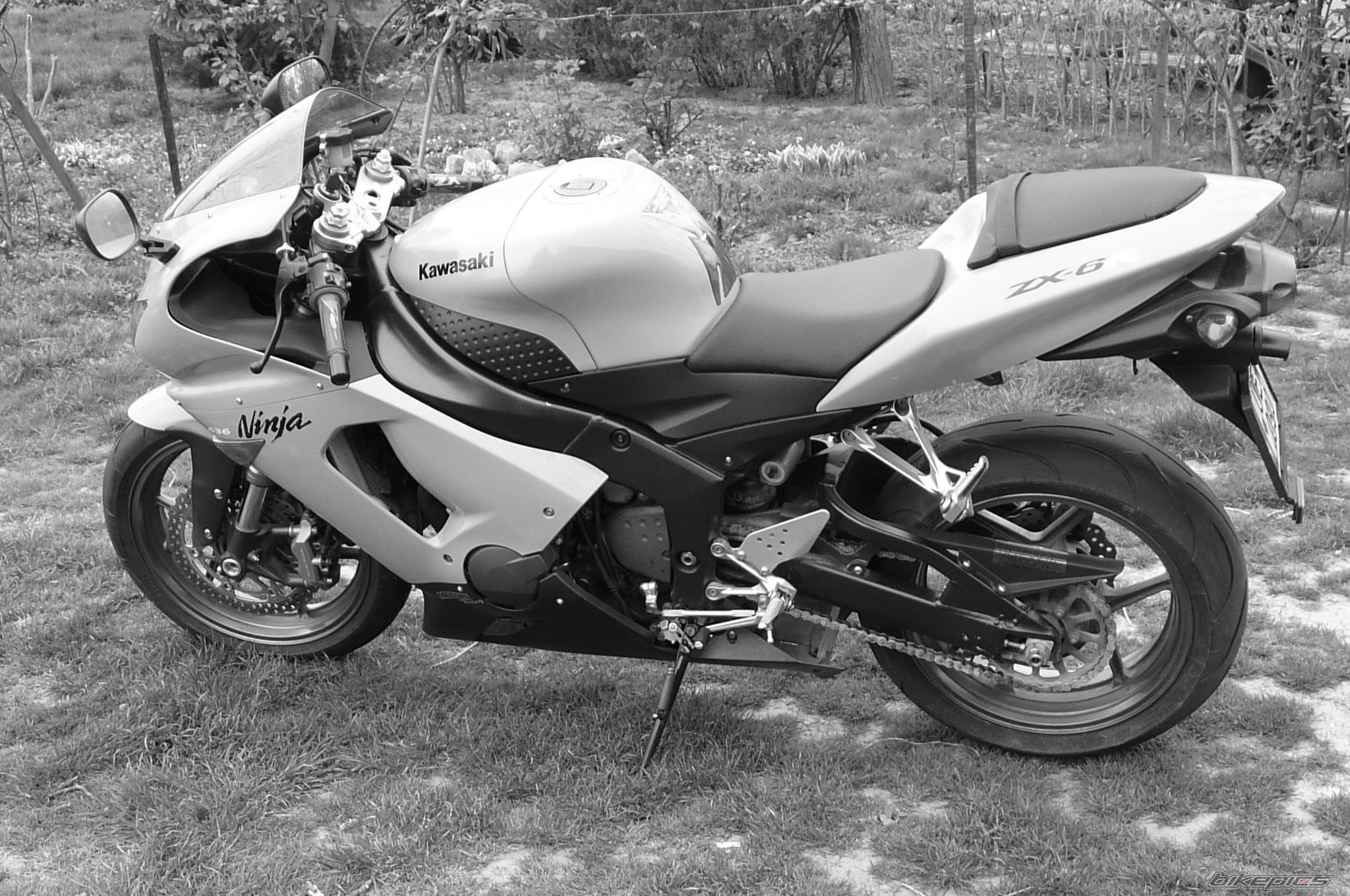 Photo 2404220