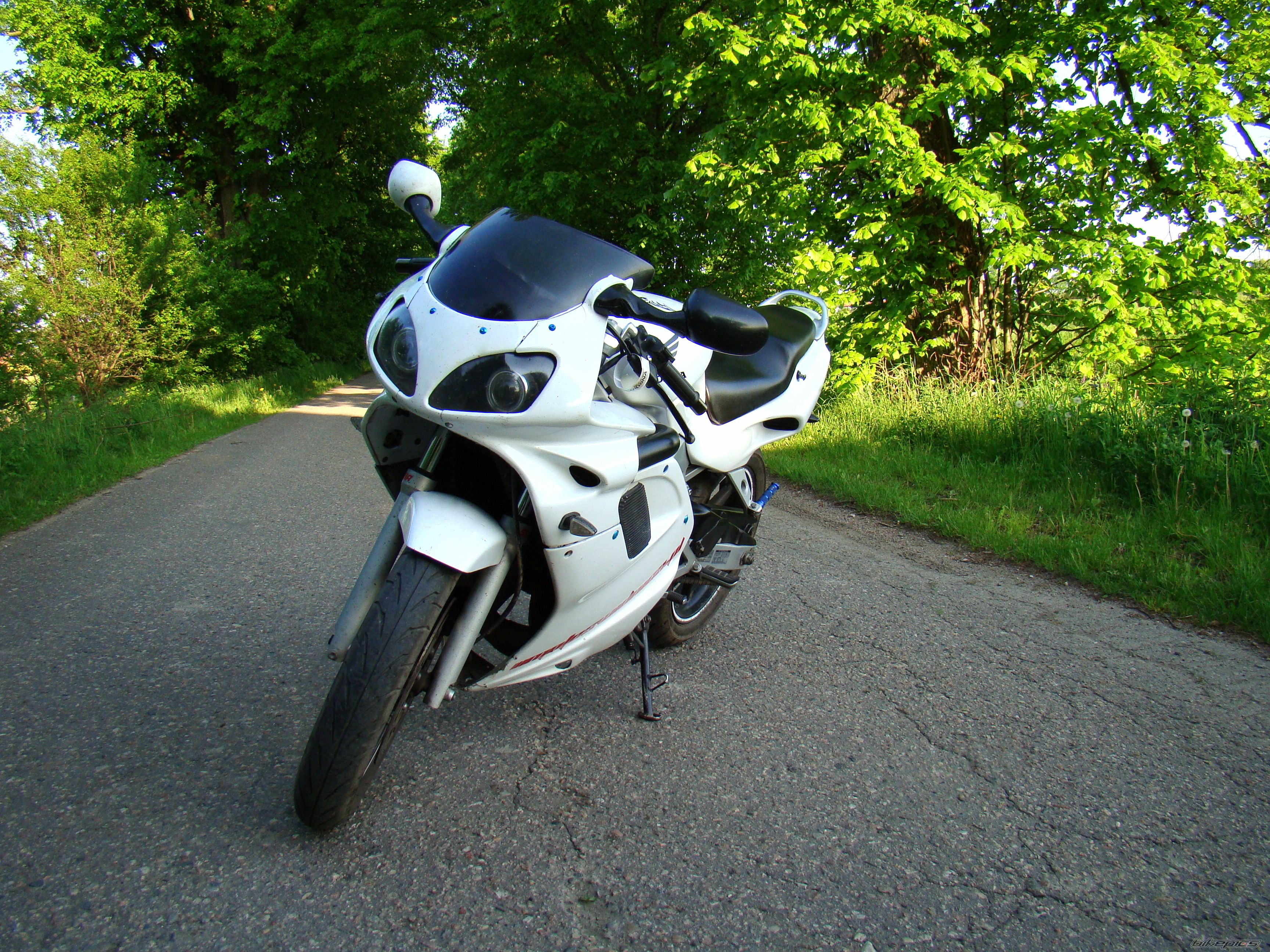 Photo 2404267