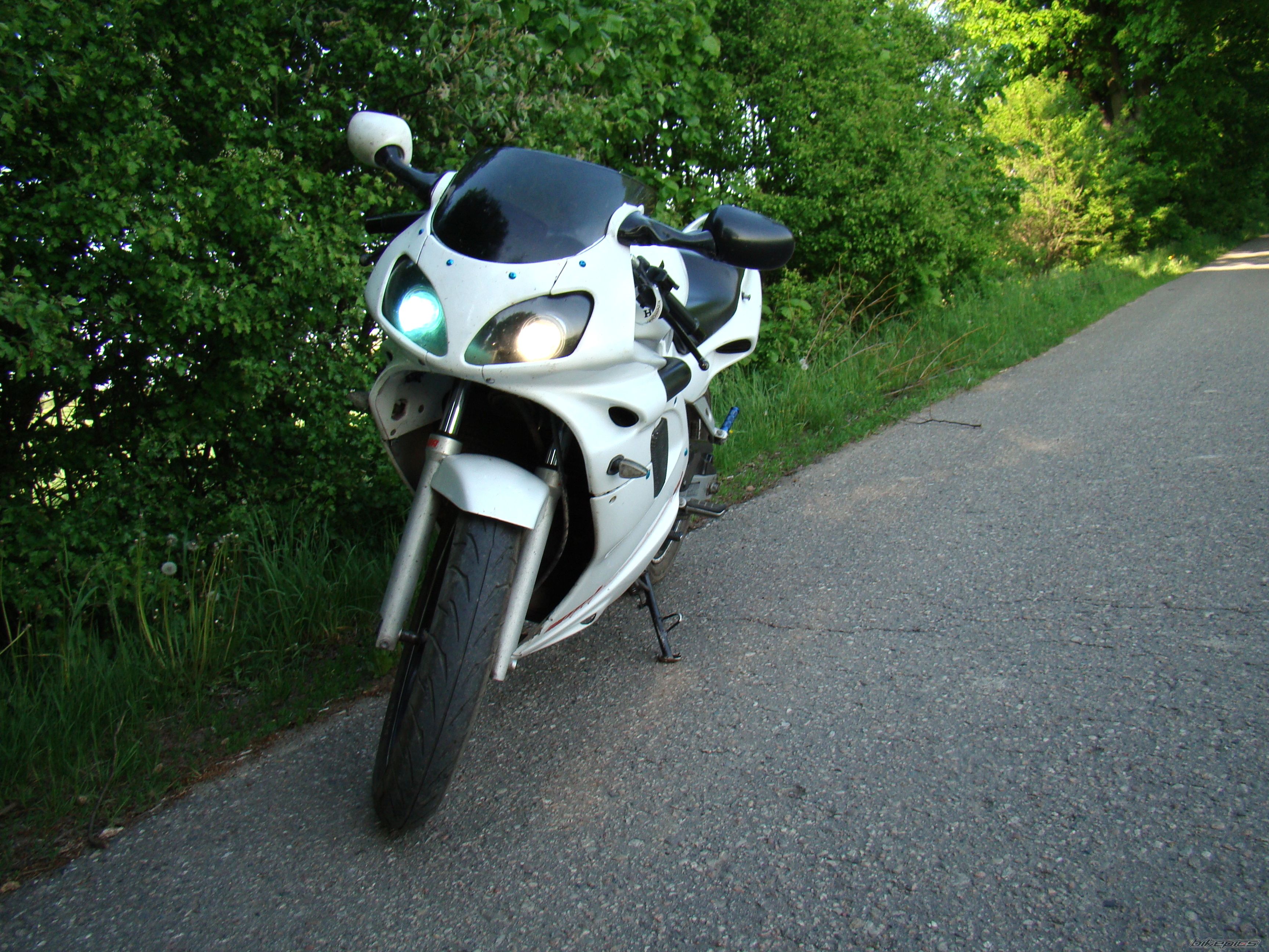 Photo 2404385
