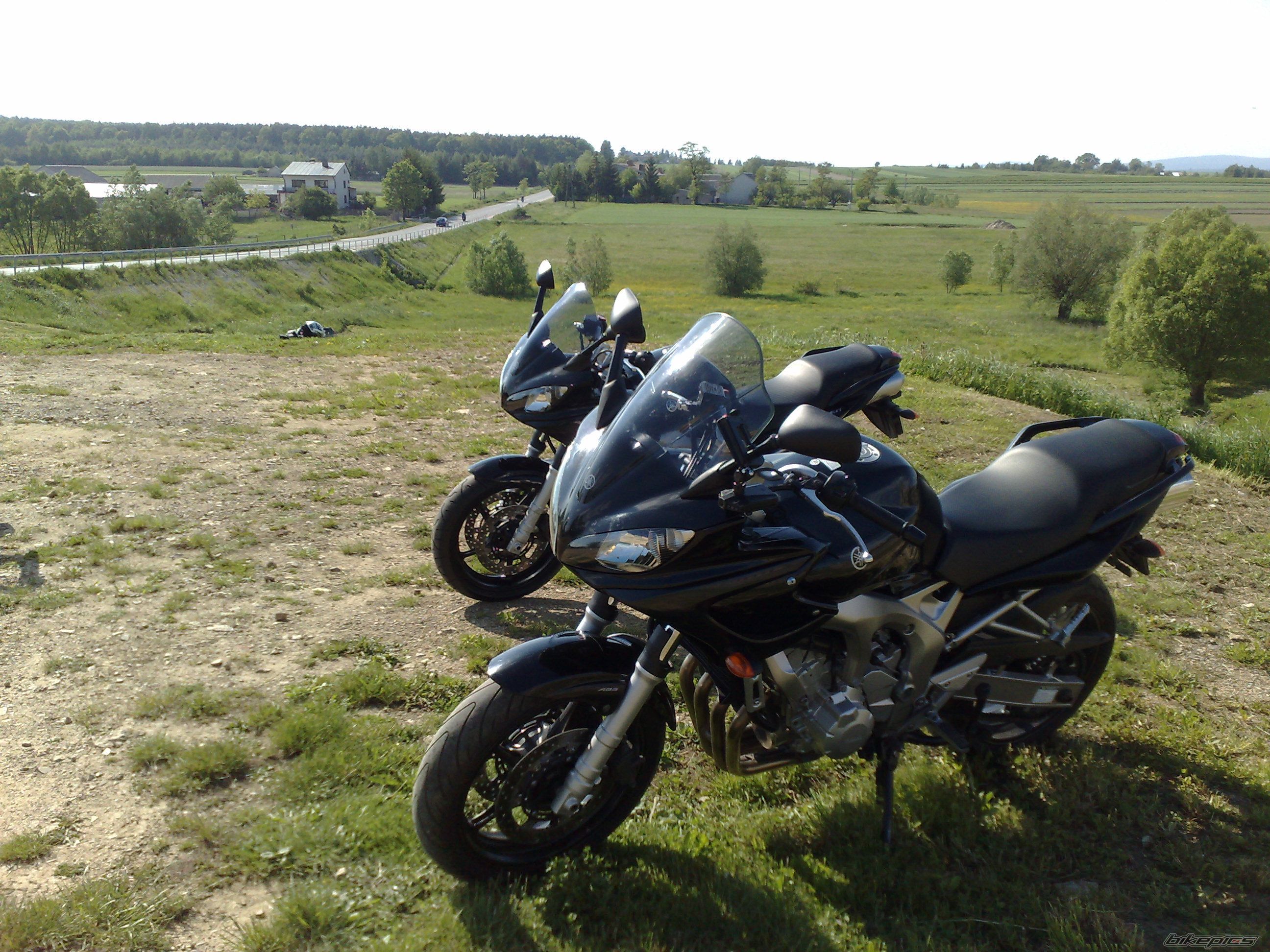 Photo 2404453