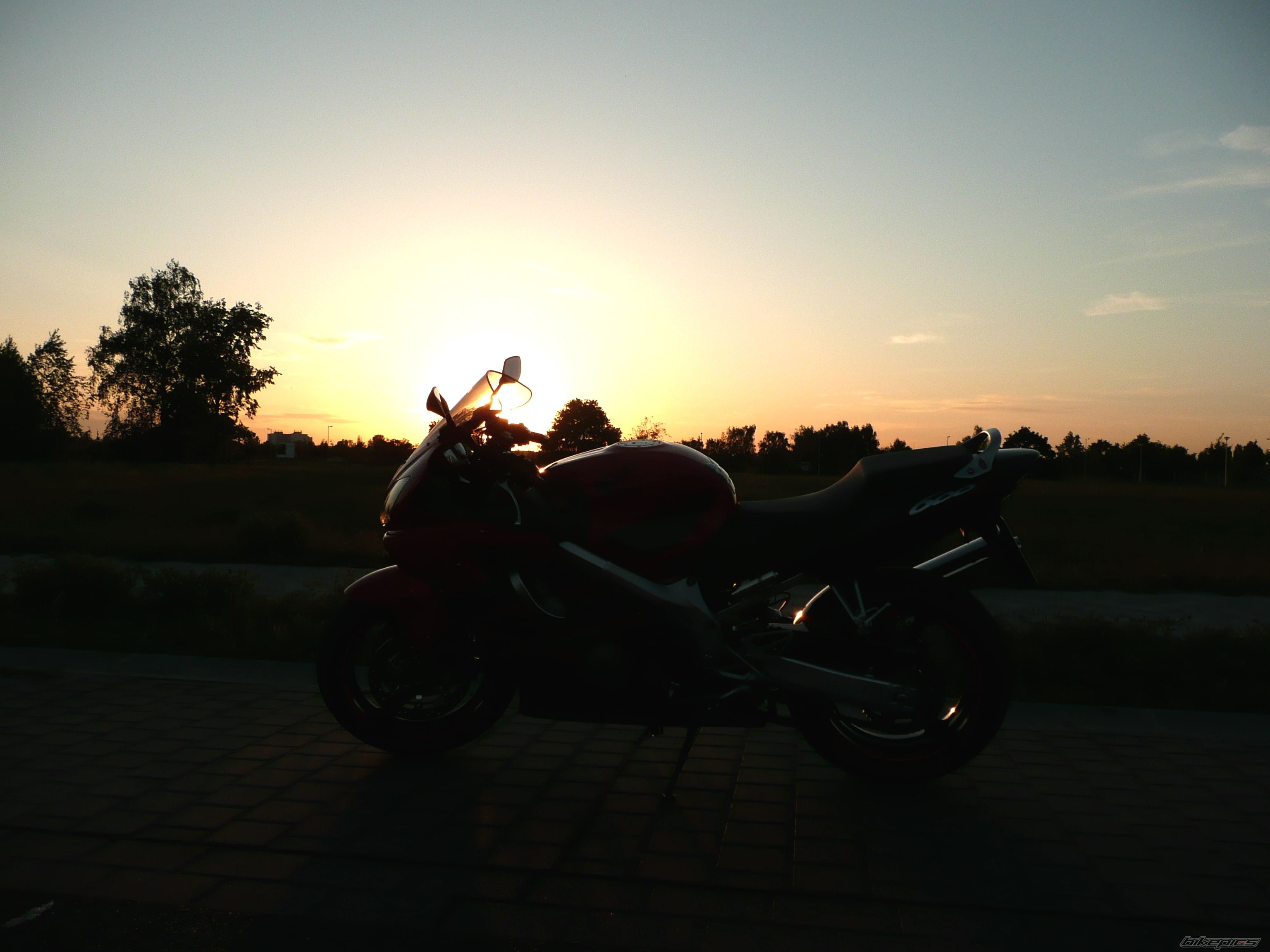 Photo 2404468